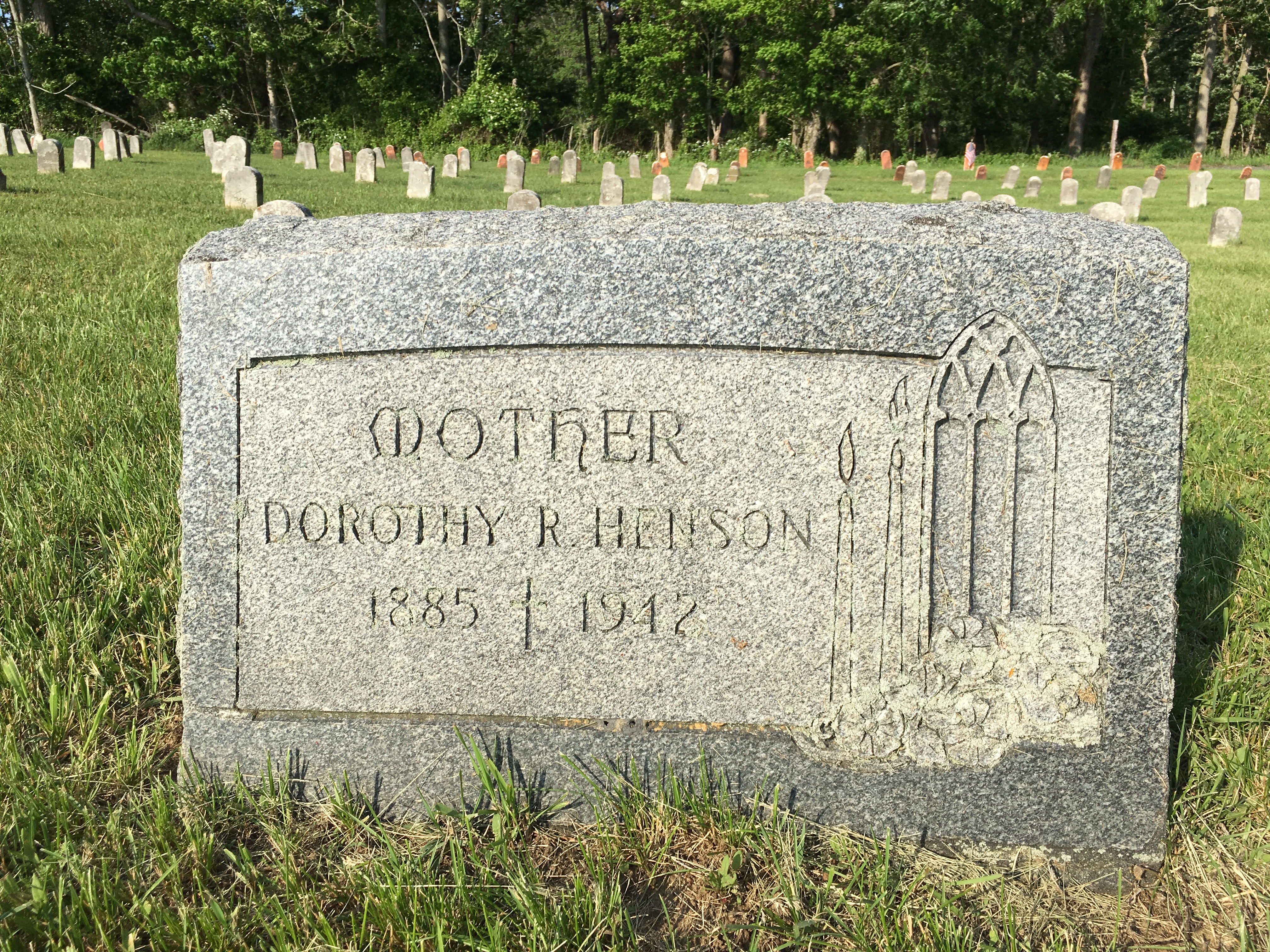 Photographed 18 May 2018.