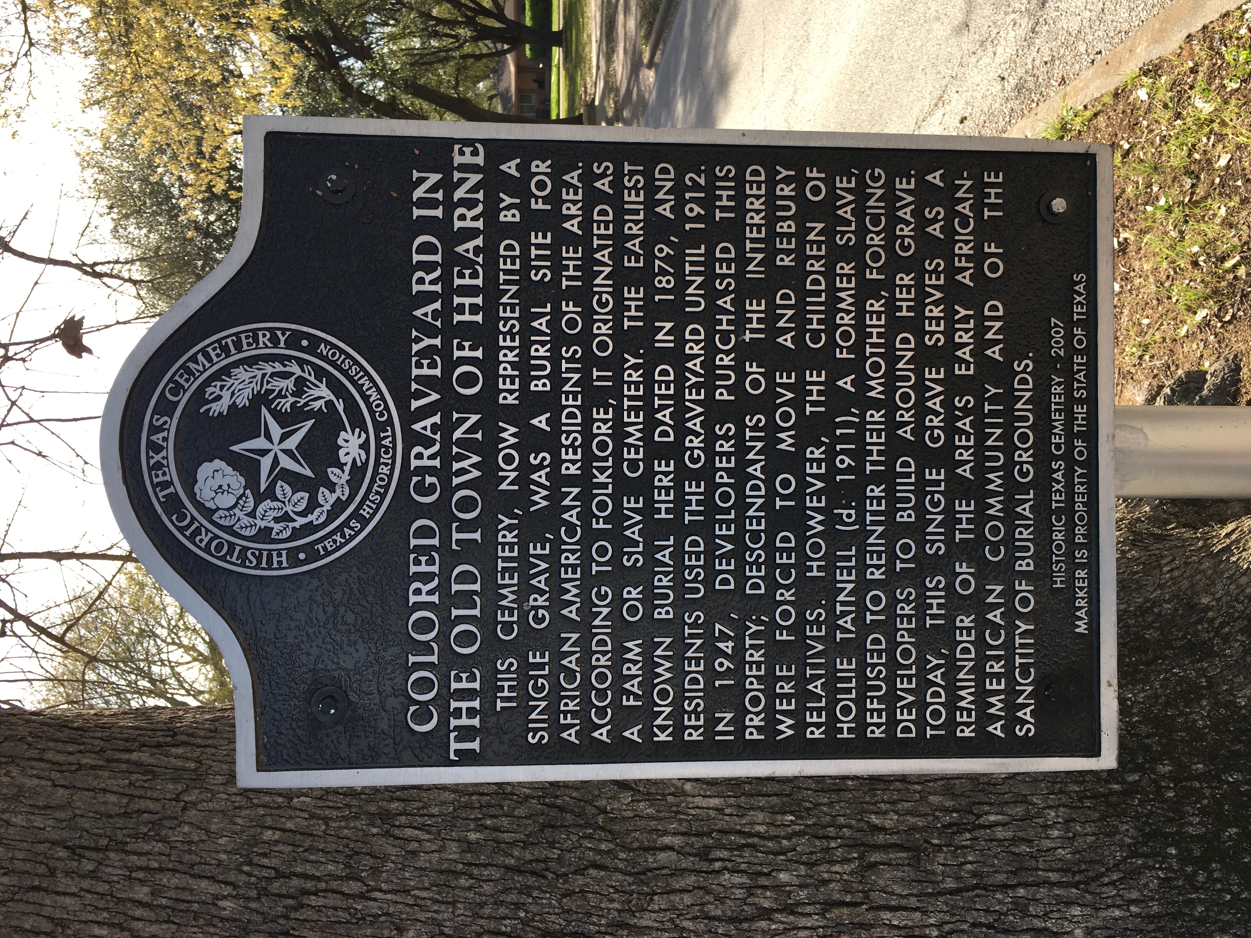 Photographed 16 Mar 2018.