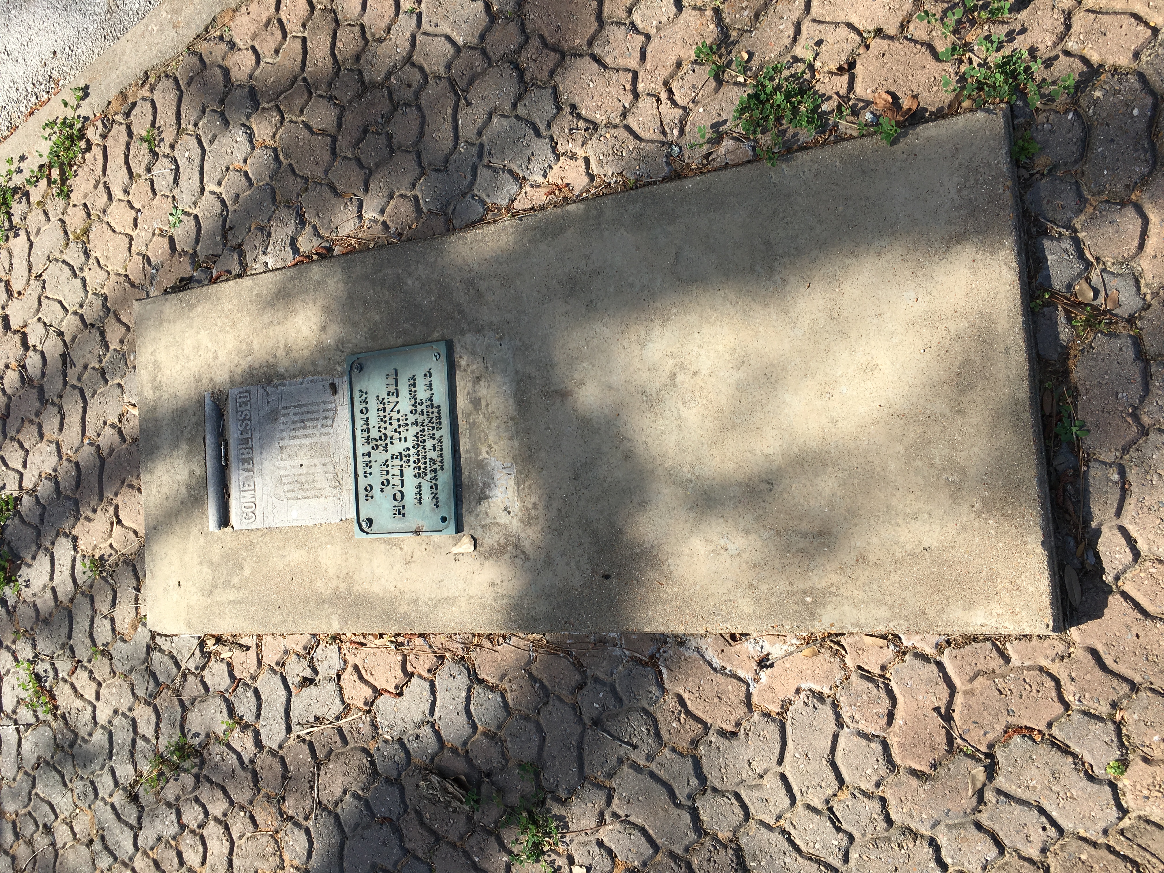 Photographed 16 Mar 2018.