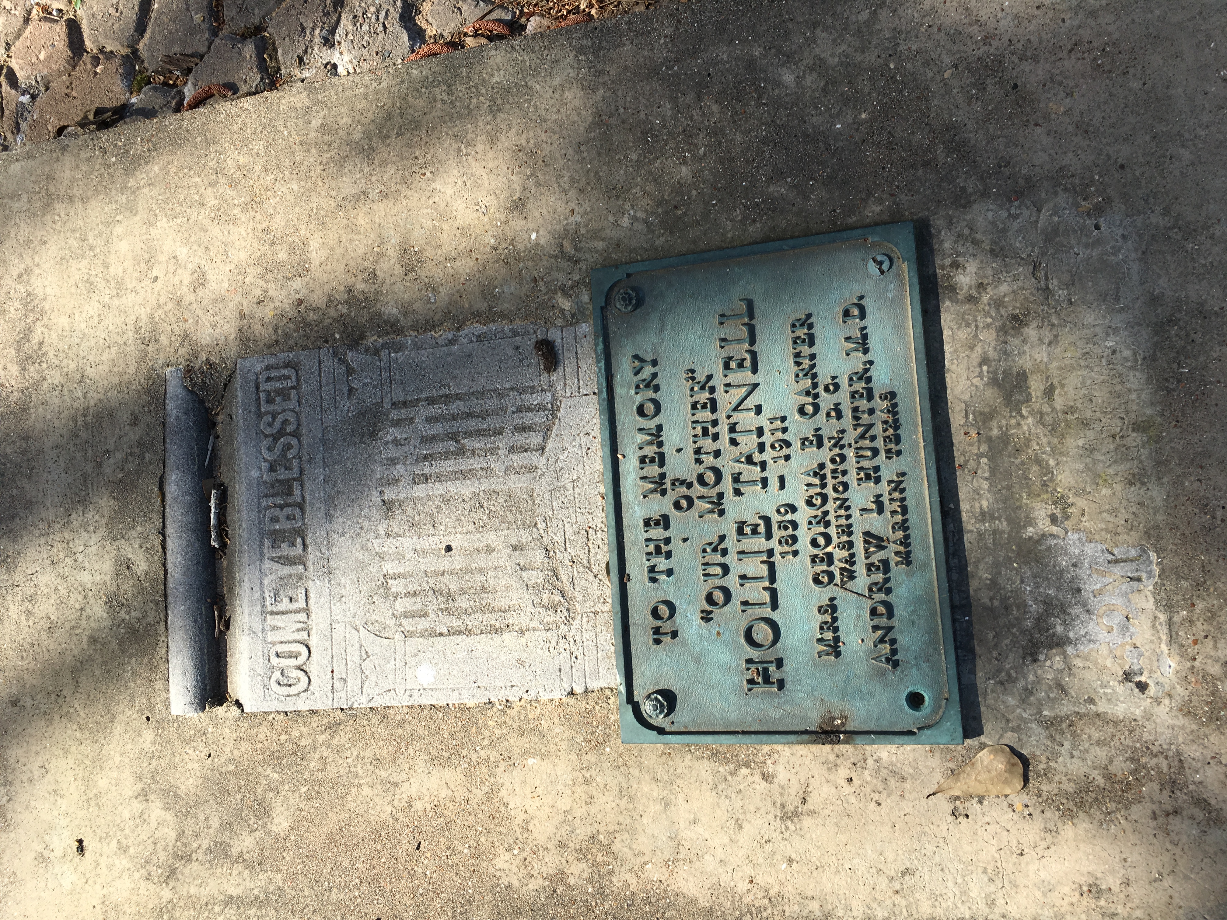 Photographed 16 Mar 2018.