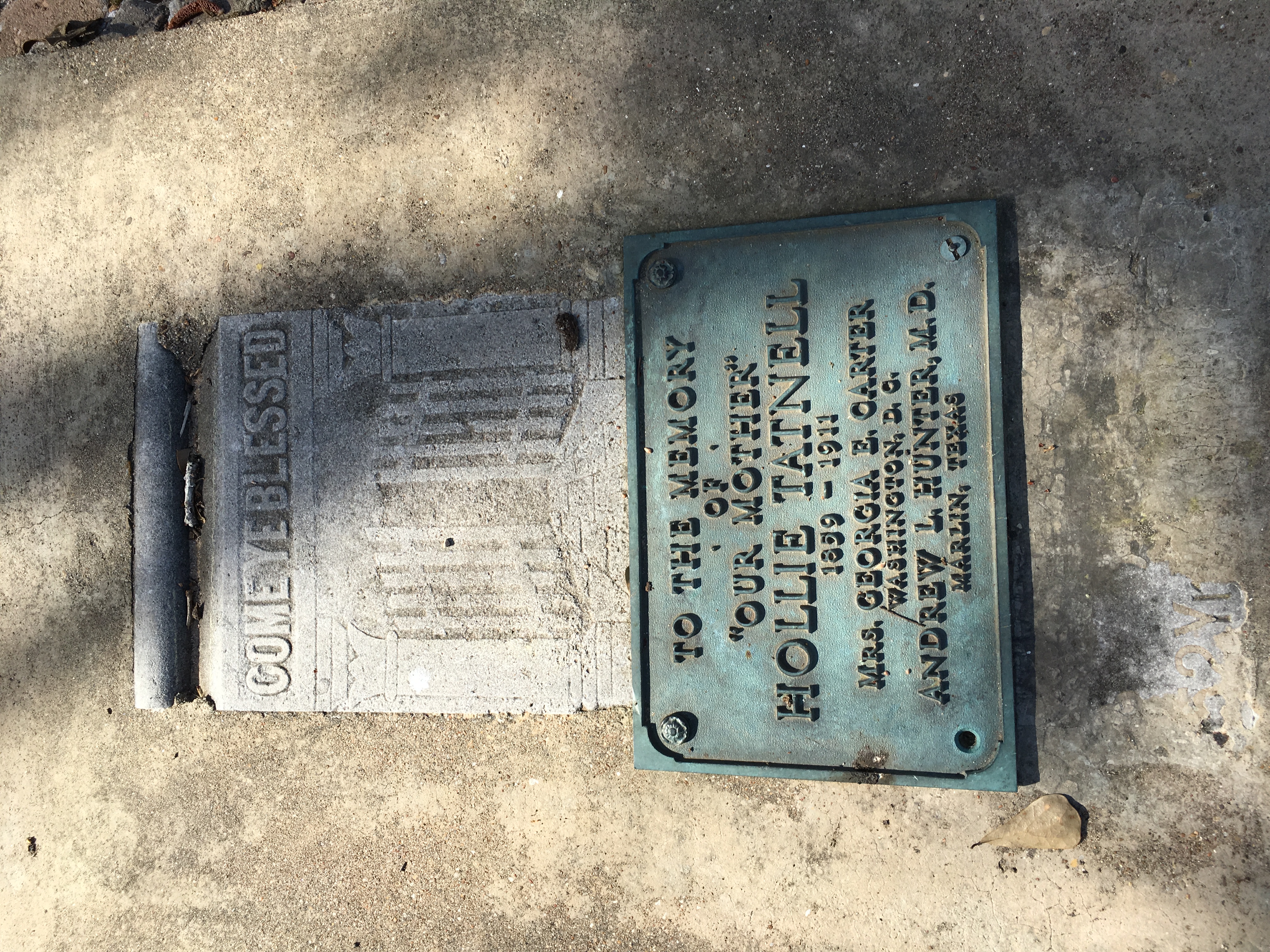 Photographed 16 Mar 2018.