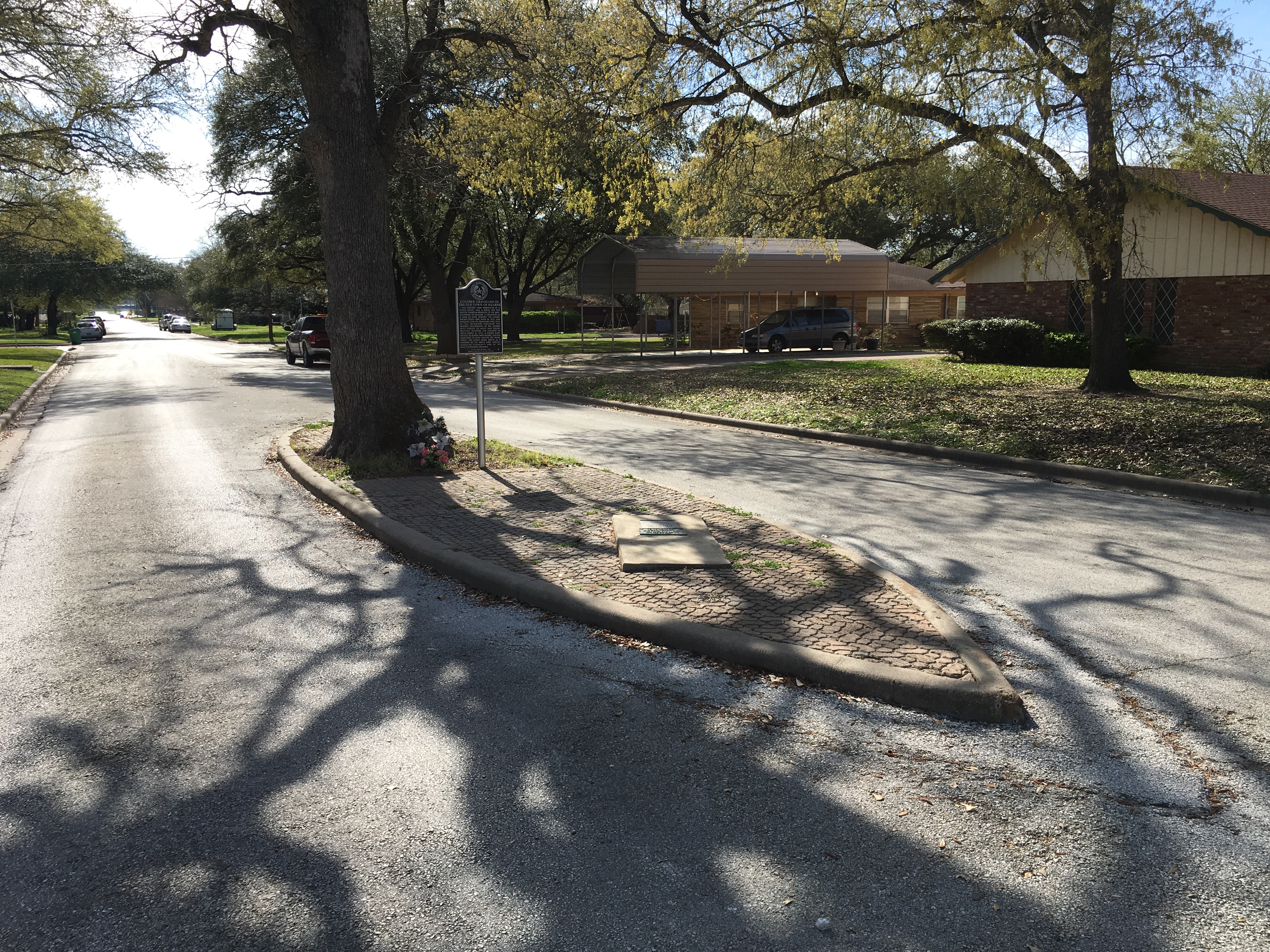 Photographed 16 Mar 2018.