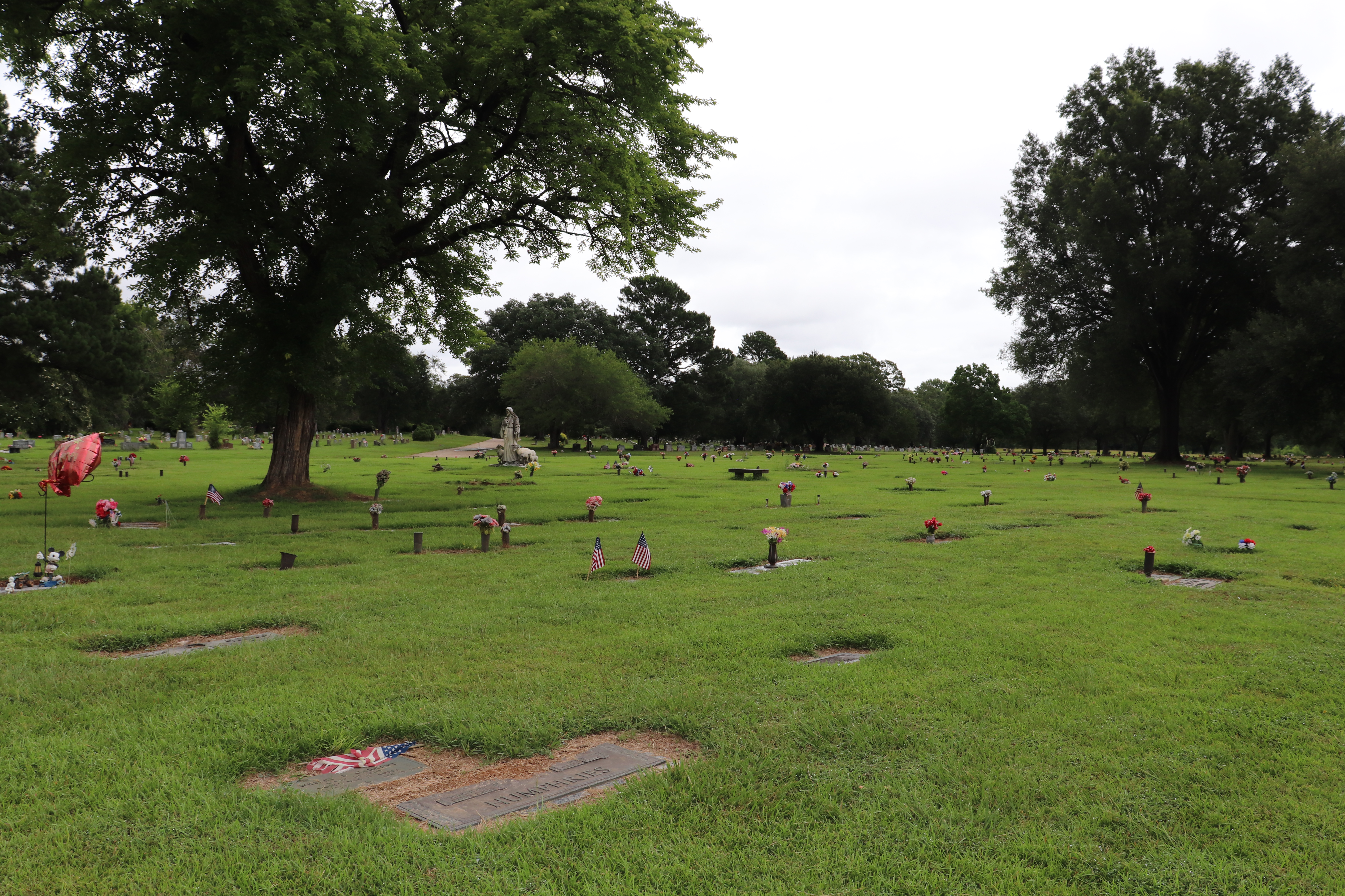 Photographed 14 July 2019.