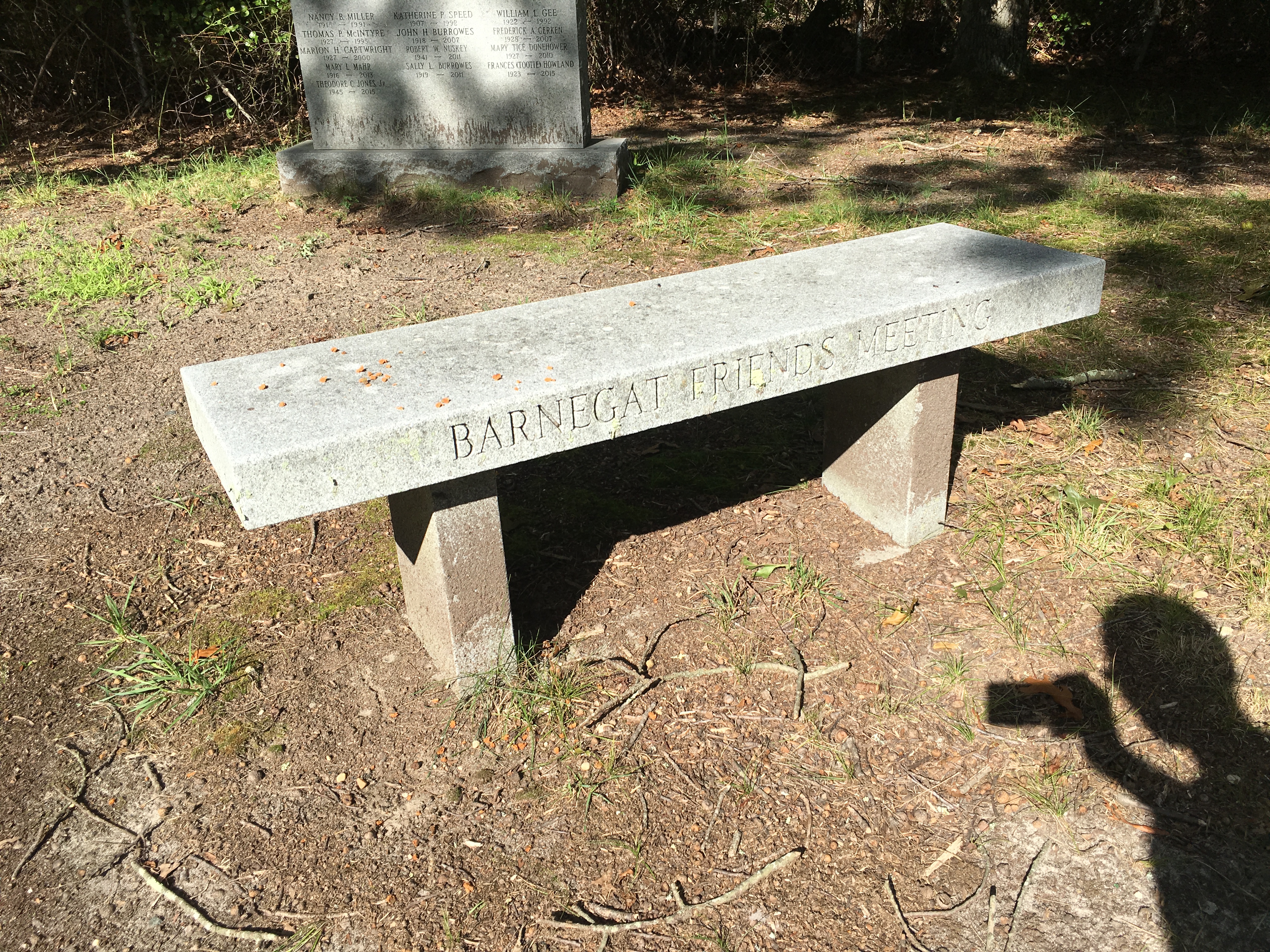 Photographed 09 Sept 2017.