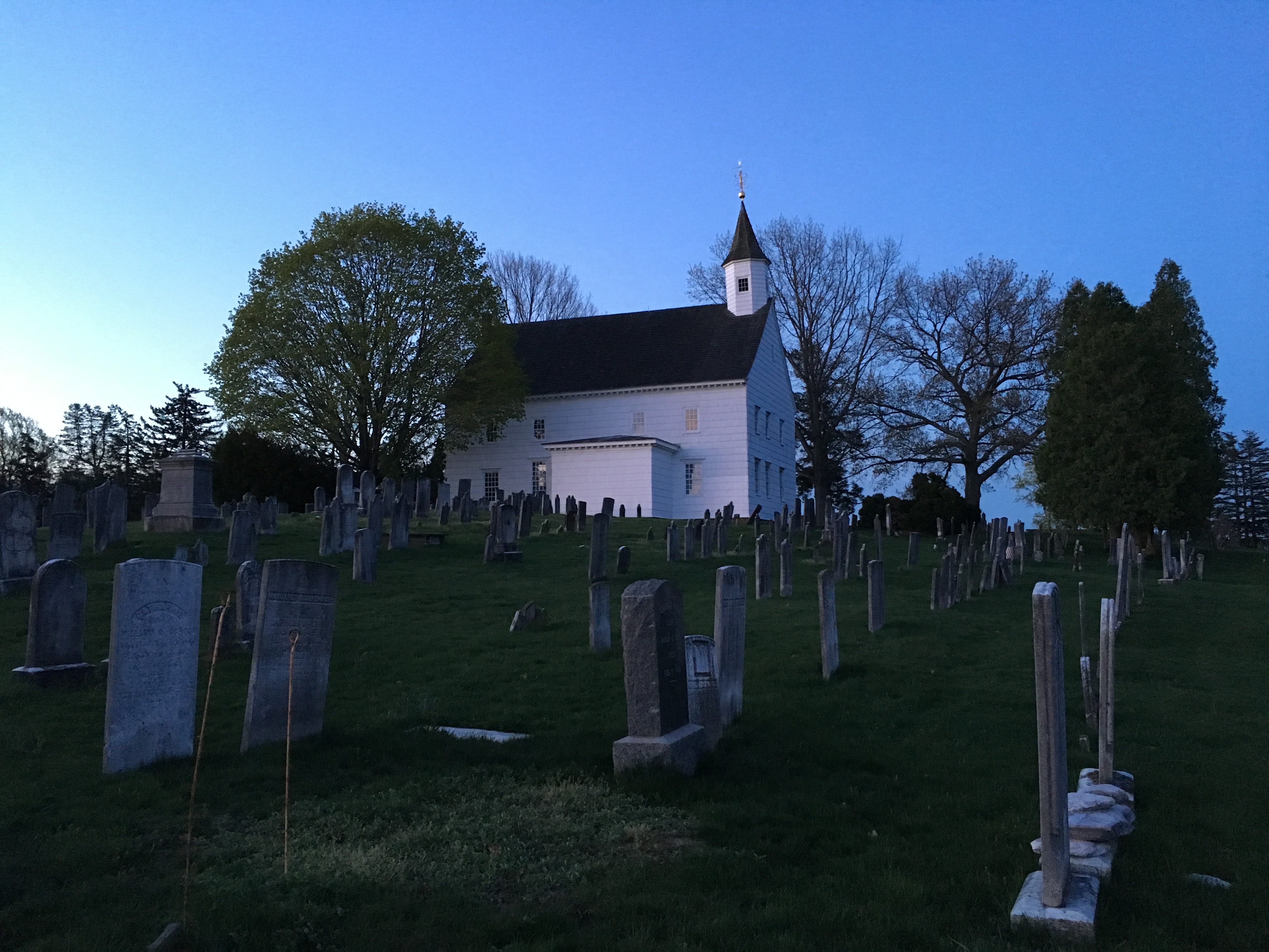 Photographed 18 April 2017.