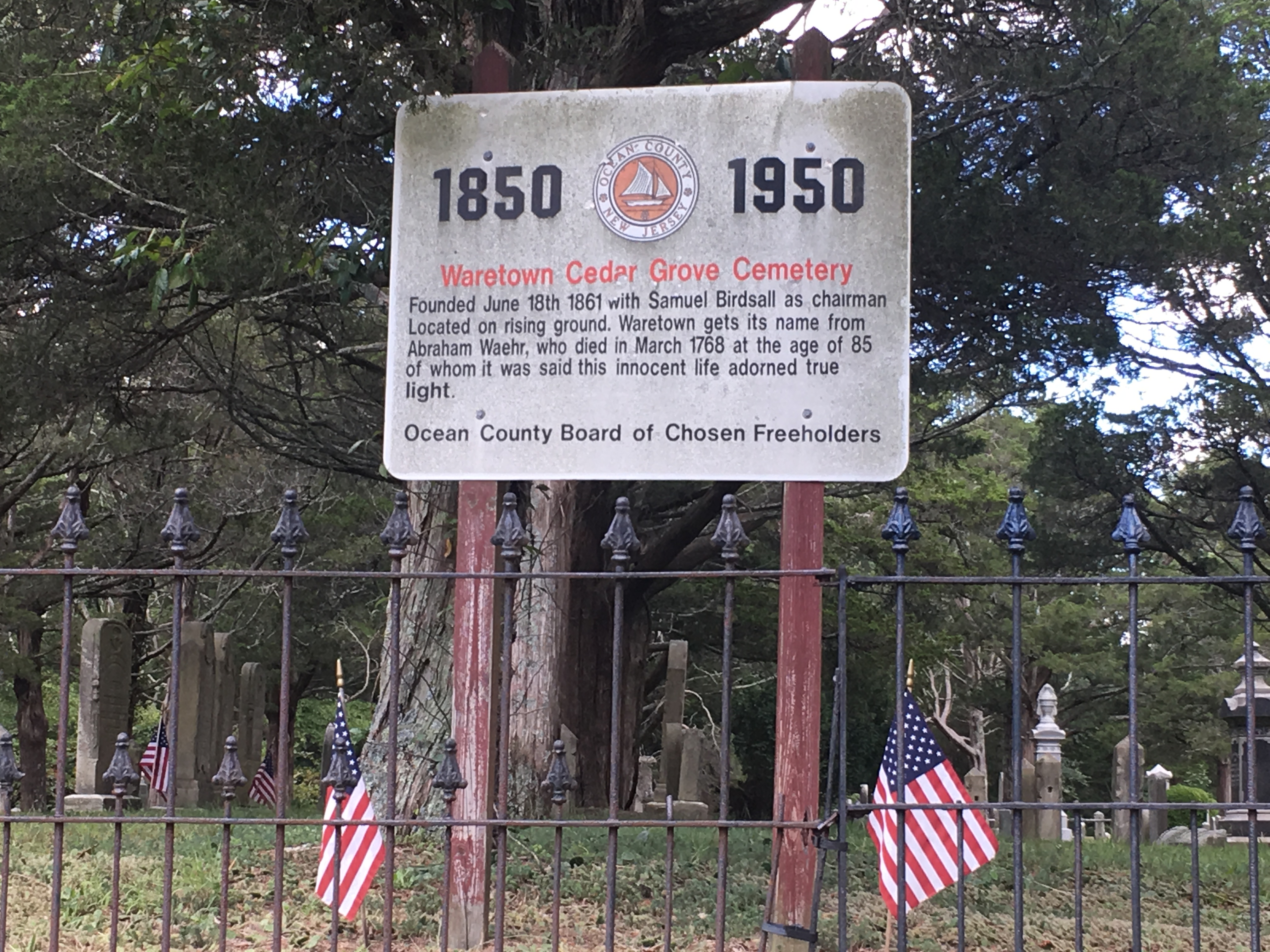 Photographed 09 Sept 2017.