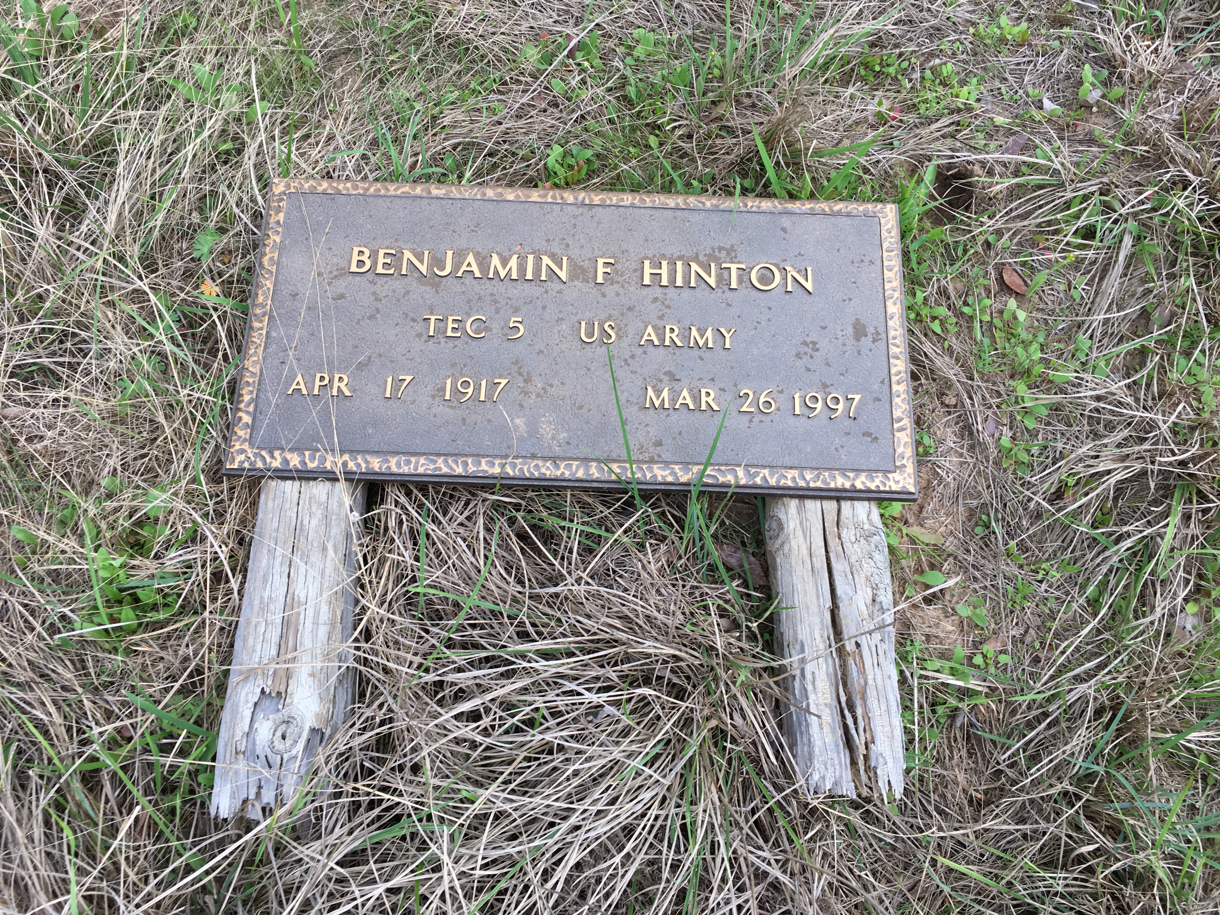 Photographed 18 Mar 2018.