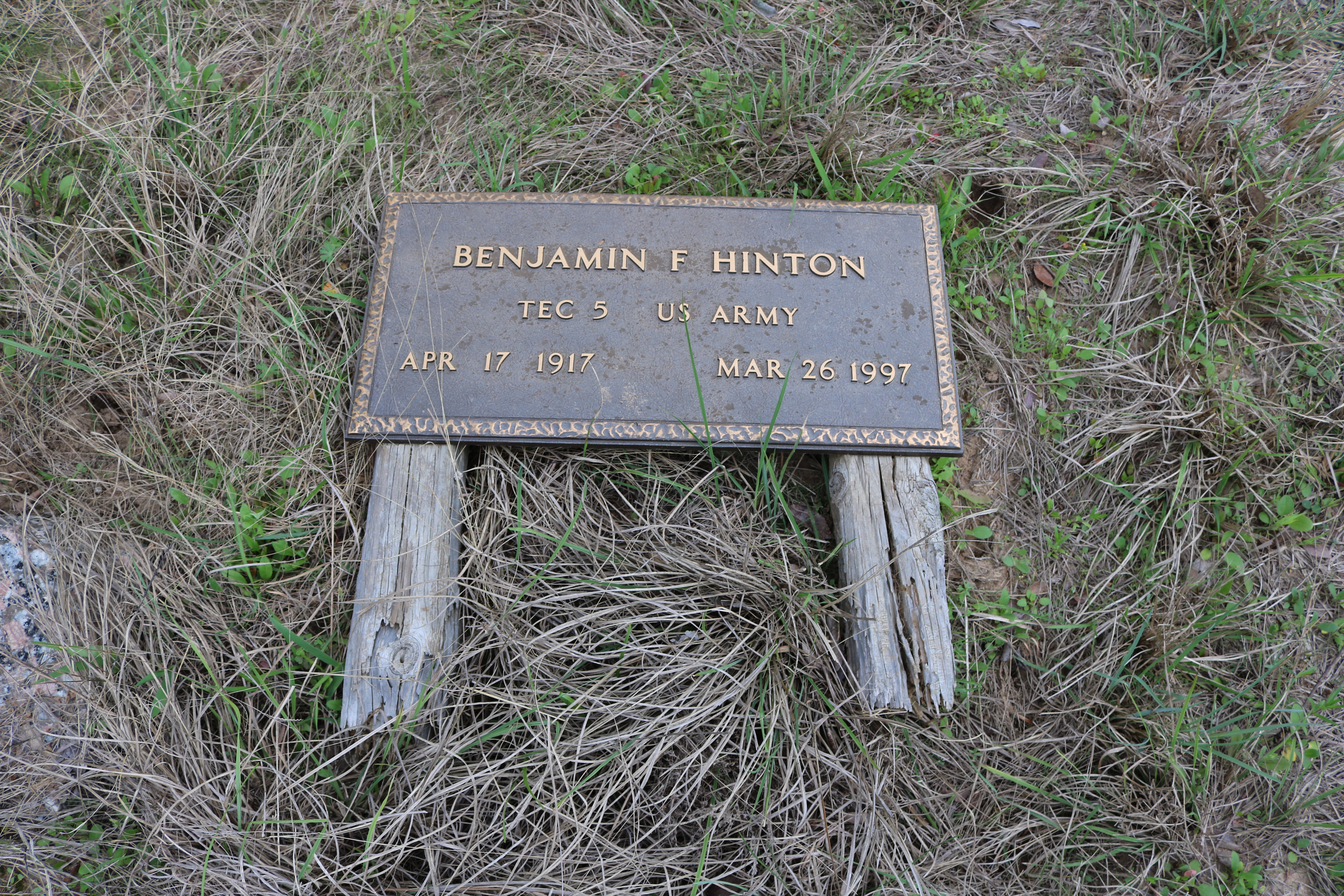 Photographed 18 Mar 2018.