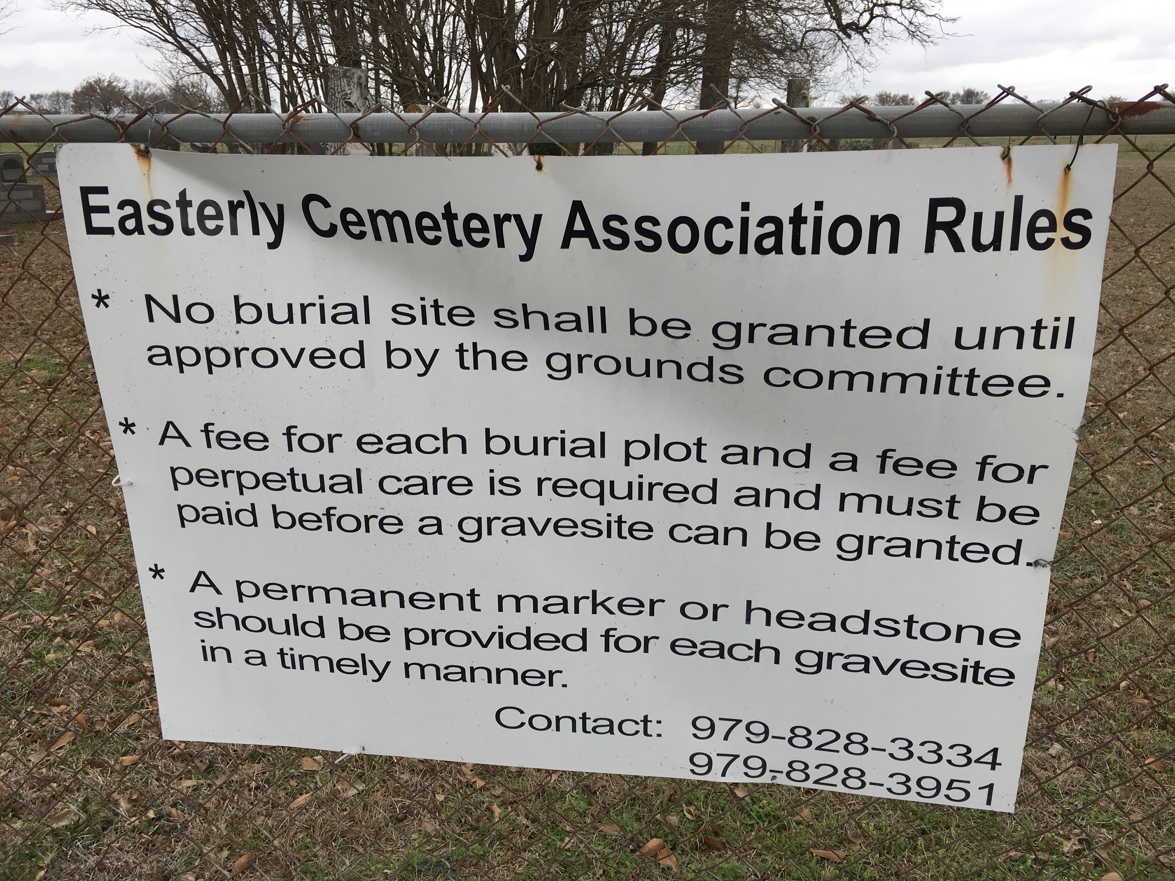 Photographed 20 Feb 2018.