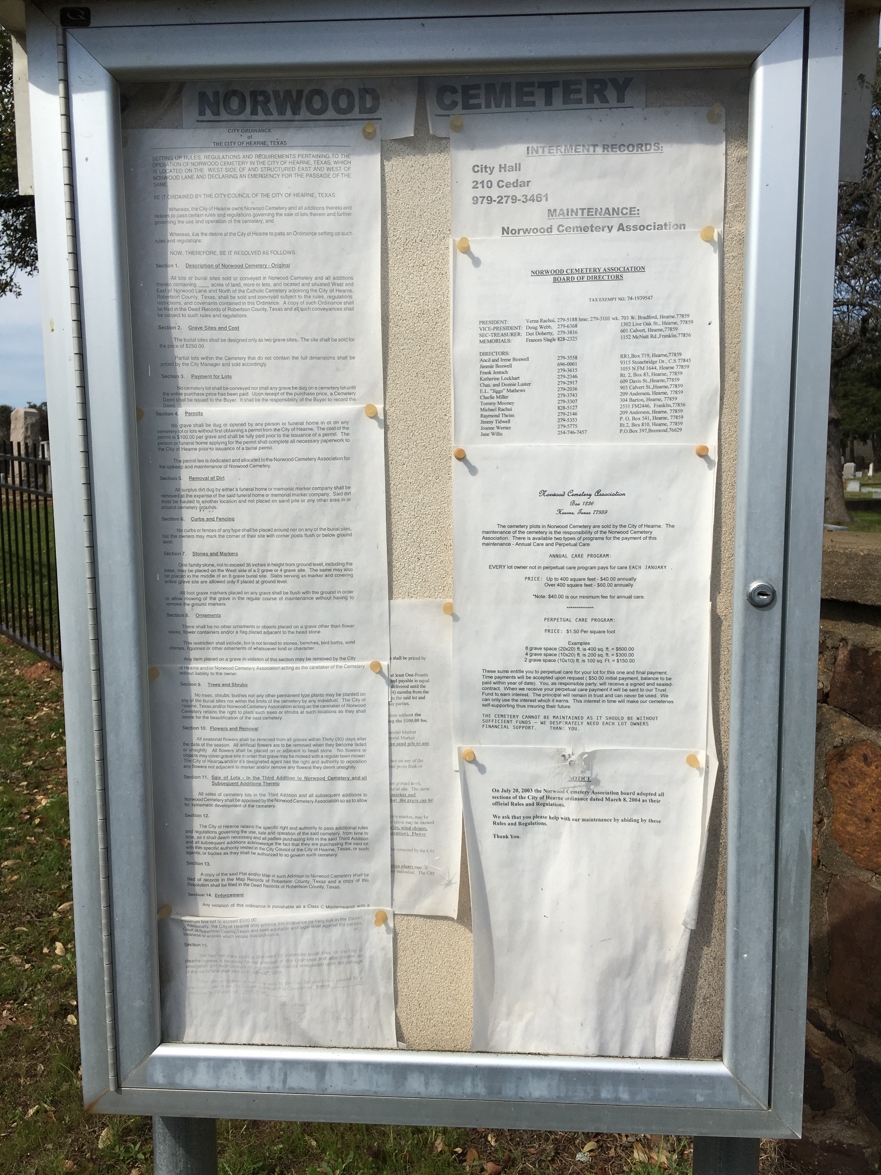 Photographed 16 June 2018.