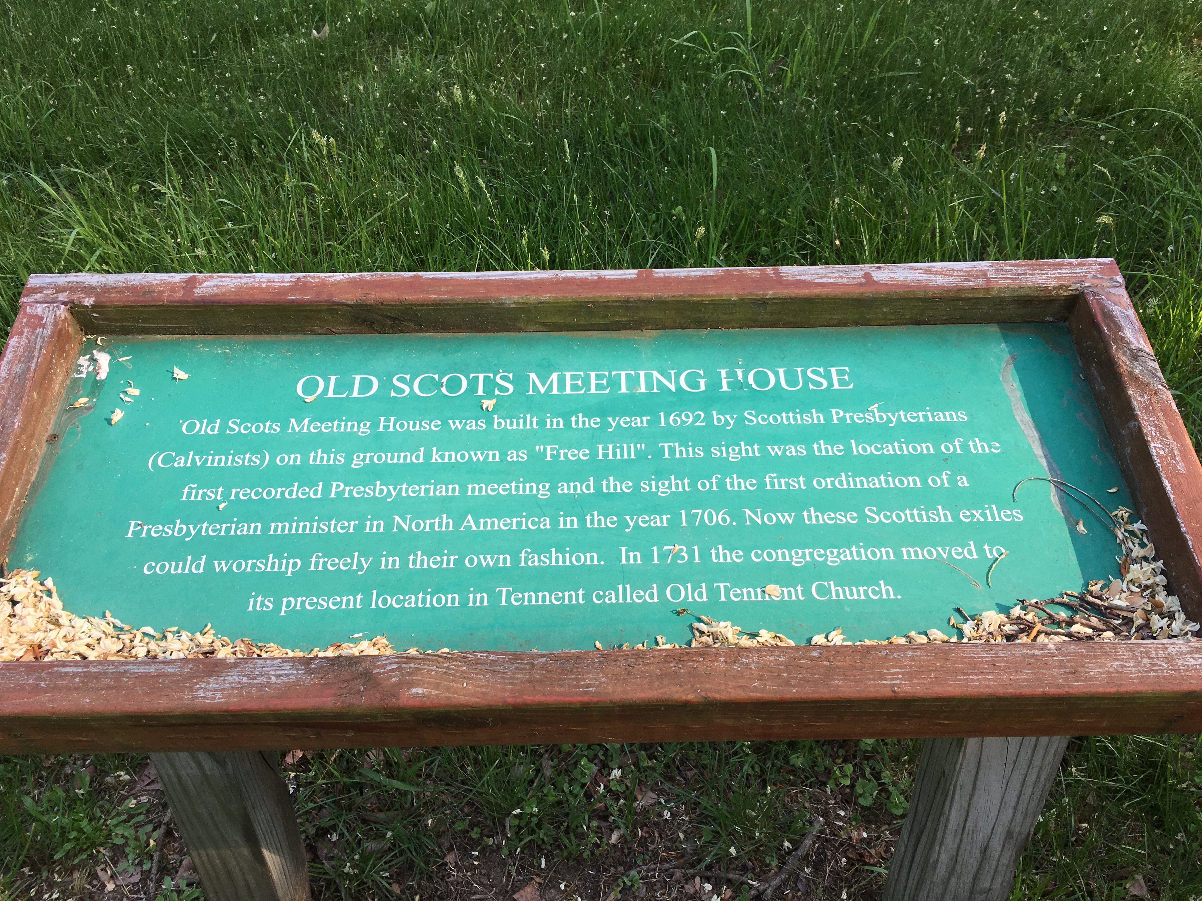 Photographed 25 May 2018.