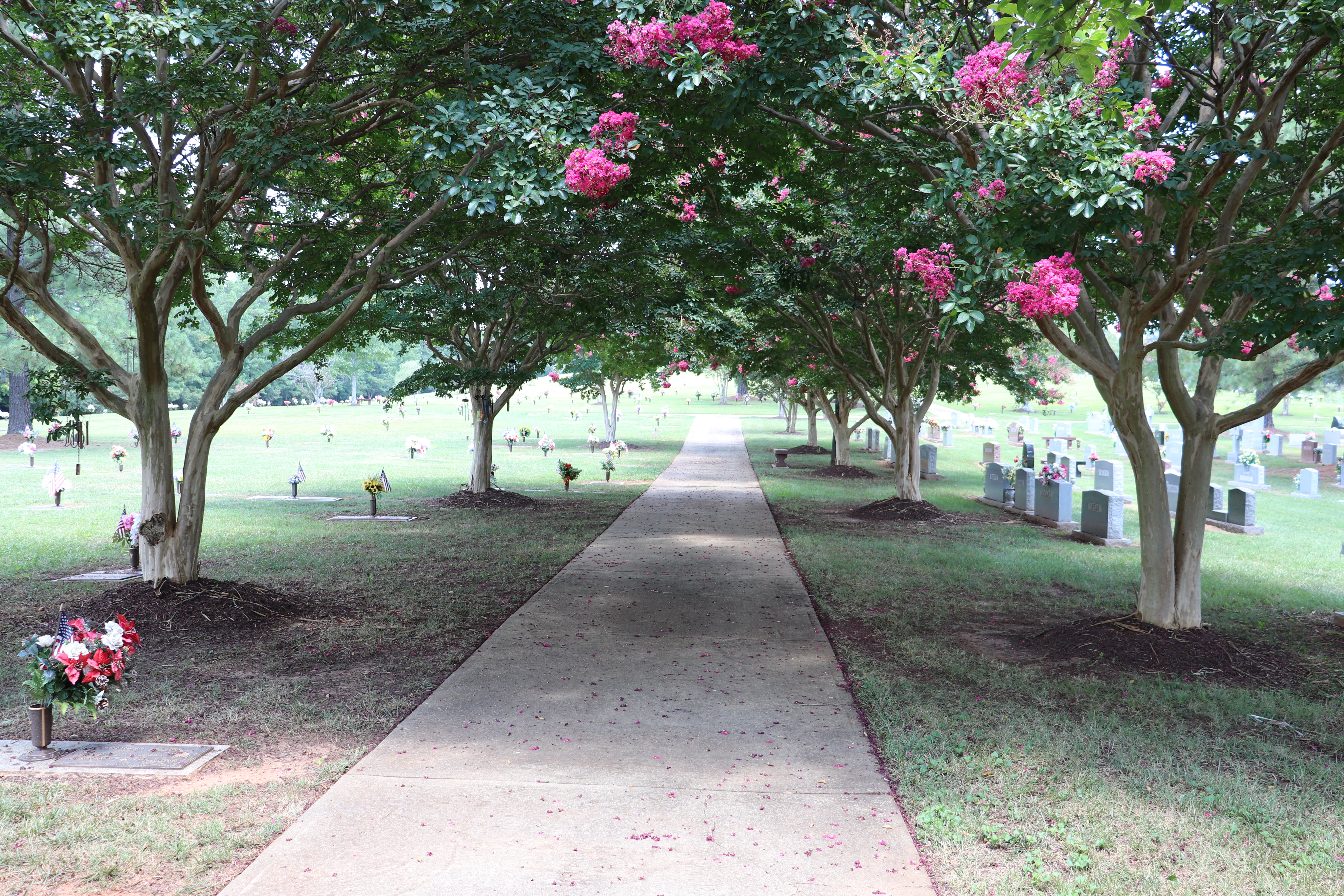 Photographed 28 July 2019.