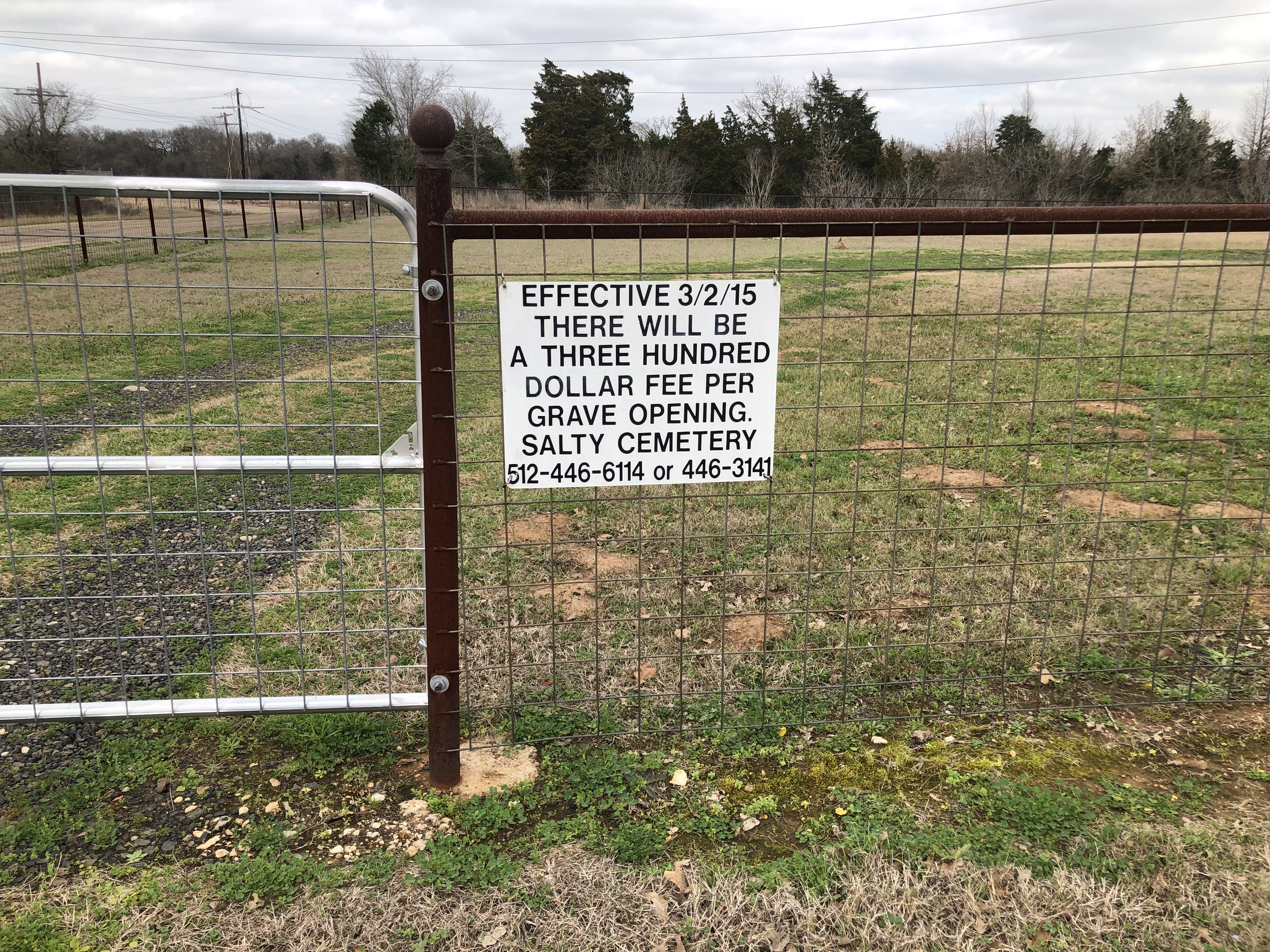 Photographed 04 Feb 2019.