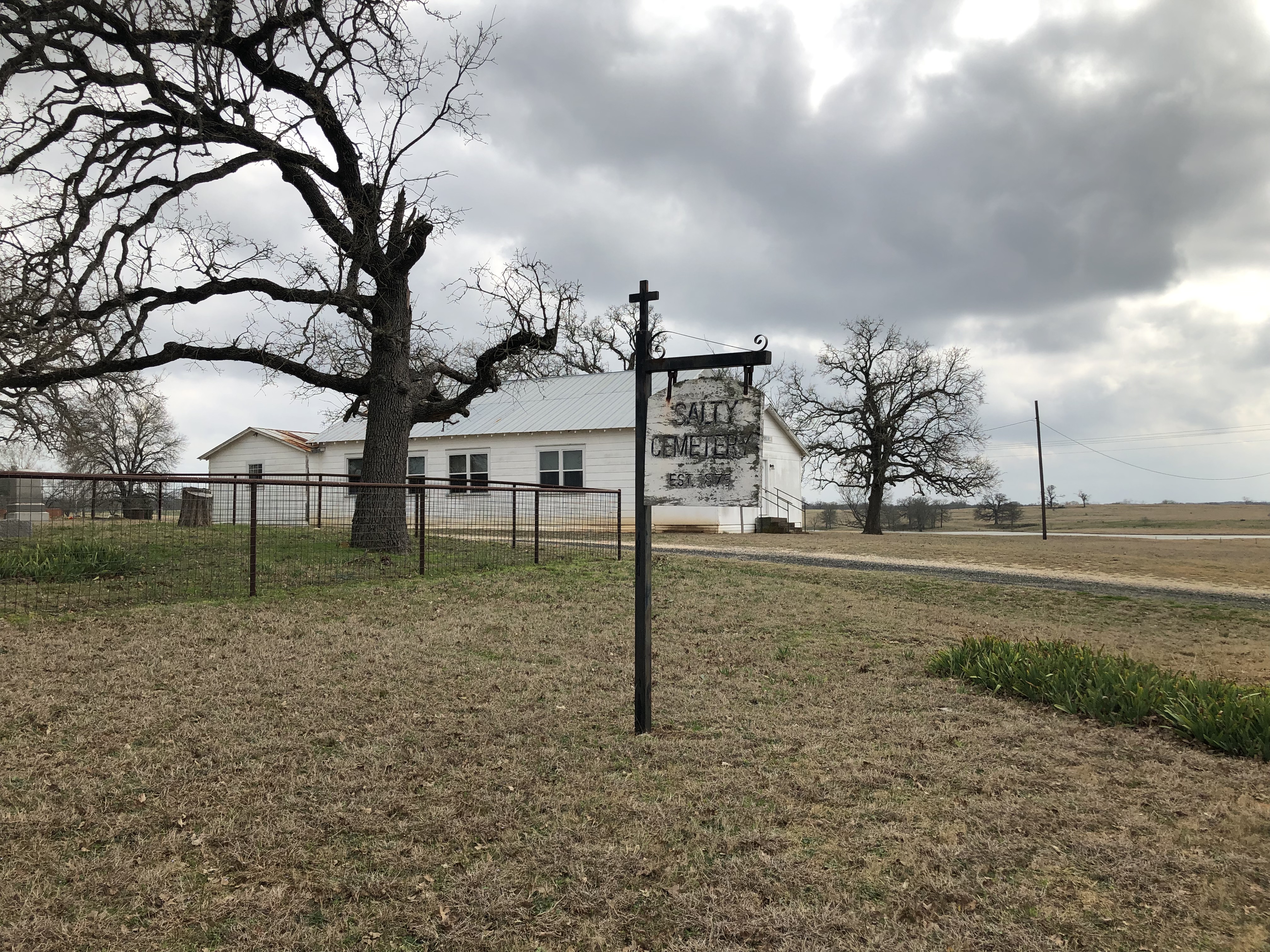 Photographed 04 Feb 2019.