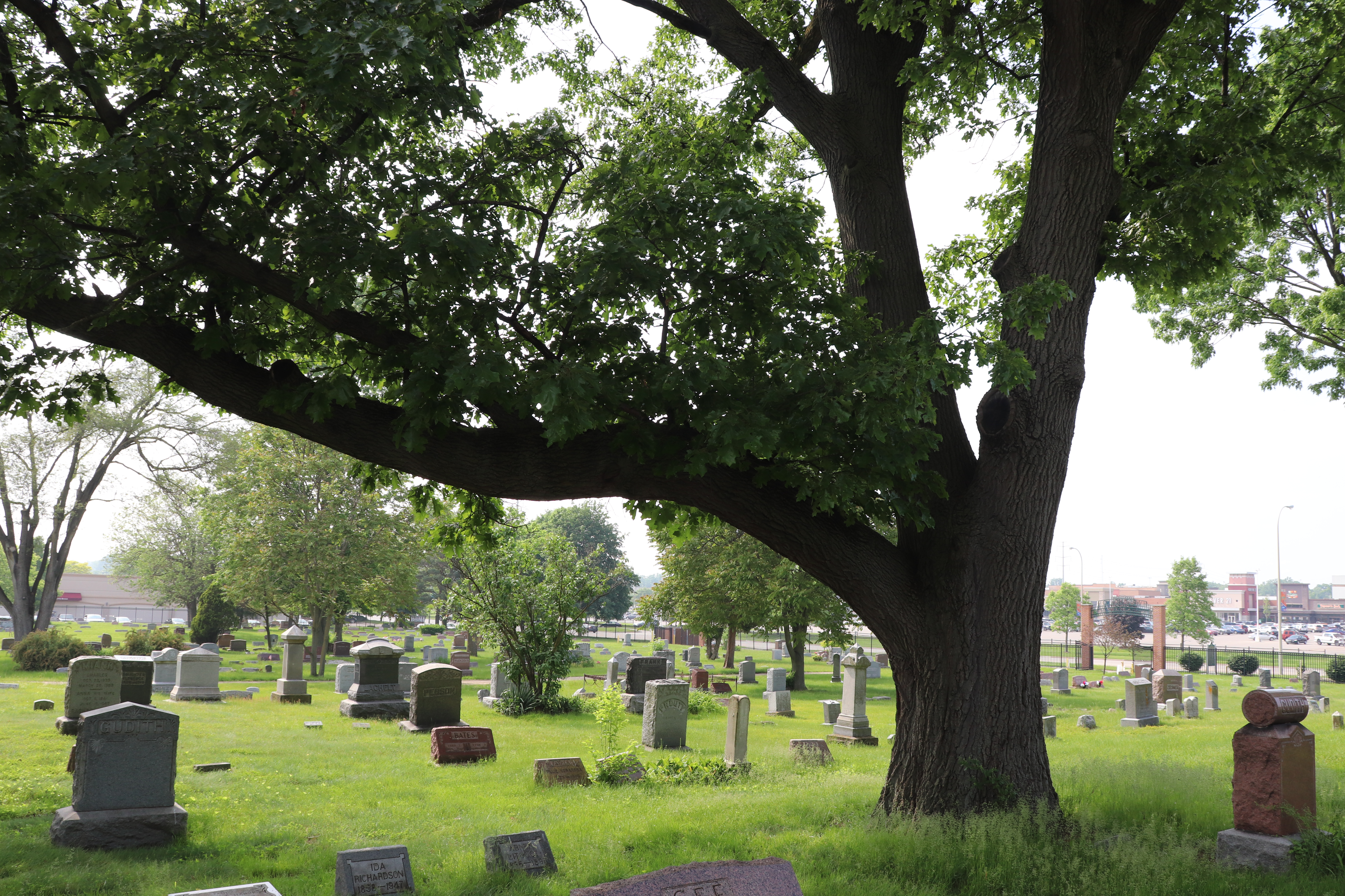 Photographed 06 June 2019.