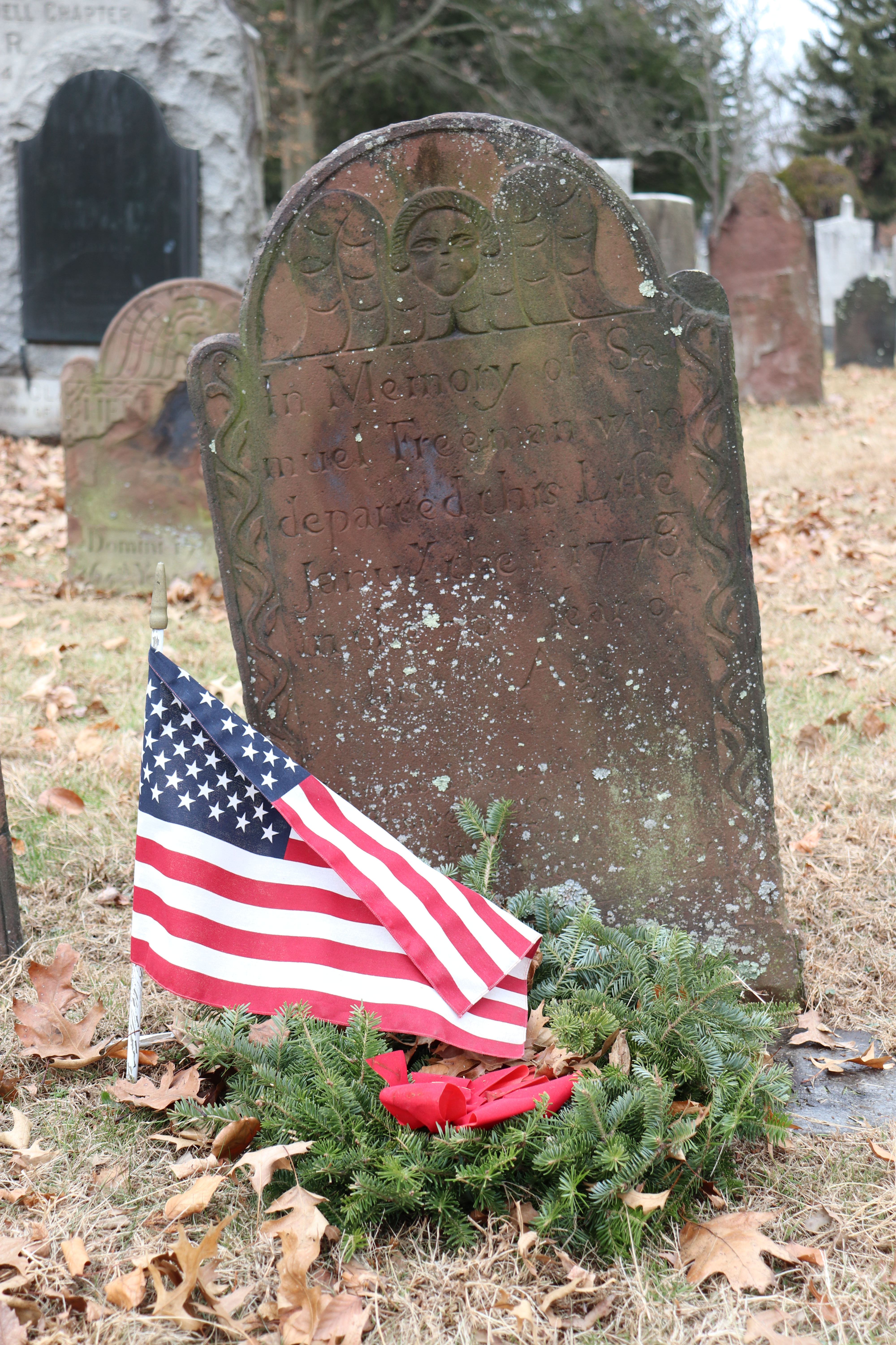 Photographed 27 Dec 2019.