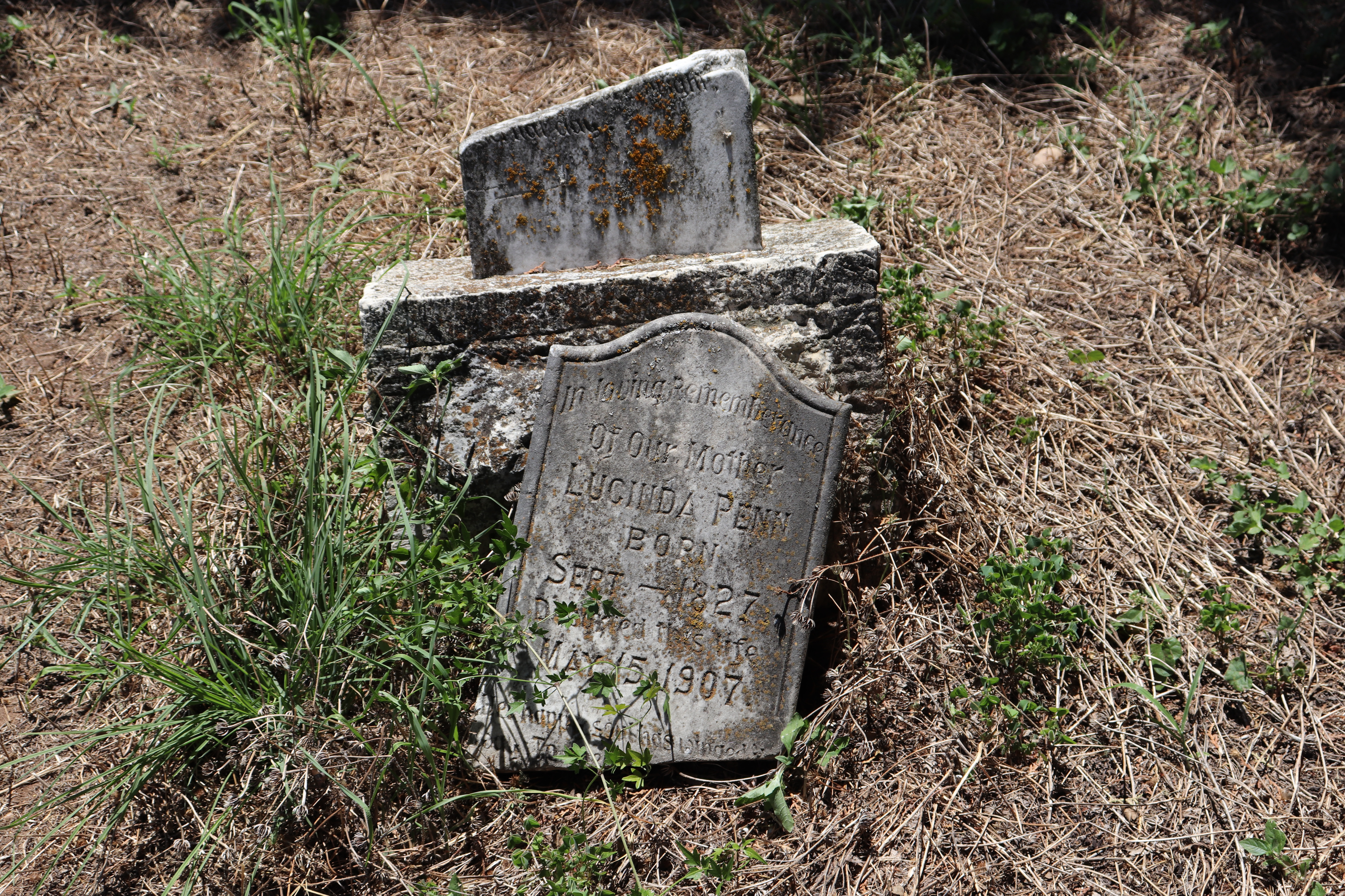 Photographed 11 June 2020.