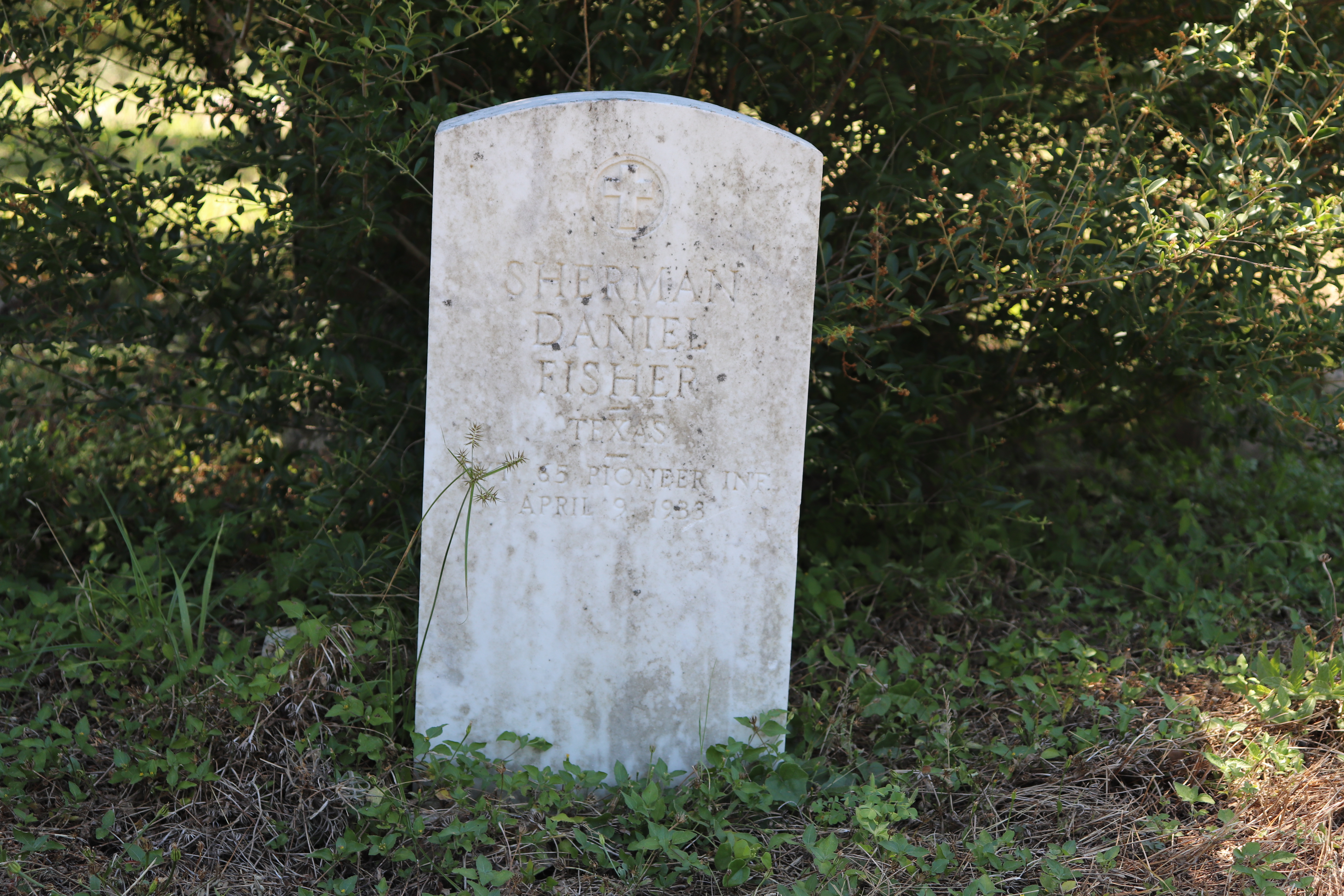 Photographed 11 June 2020.