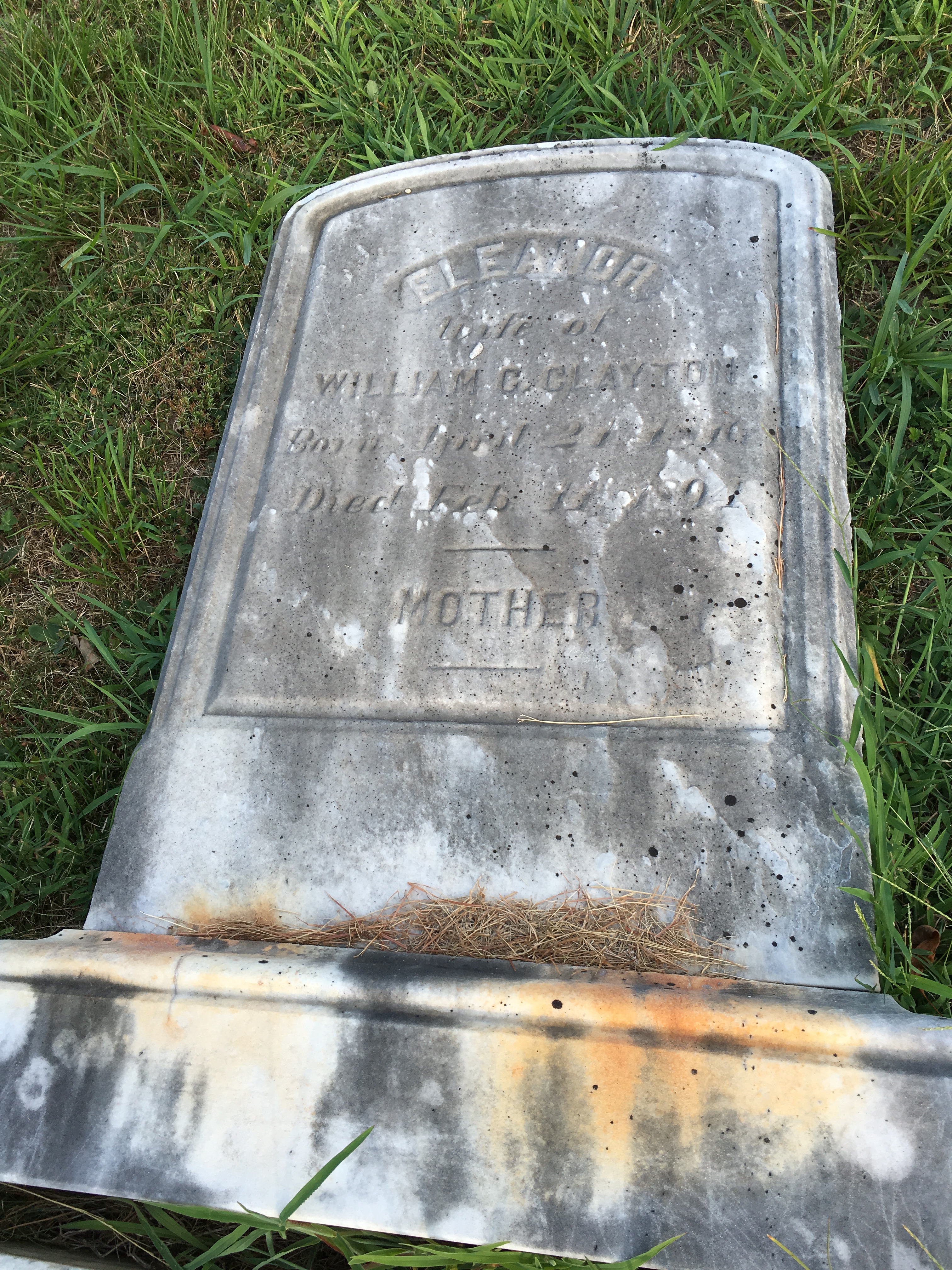 Photographed 16 Aug 2016.