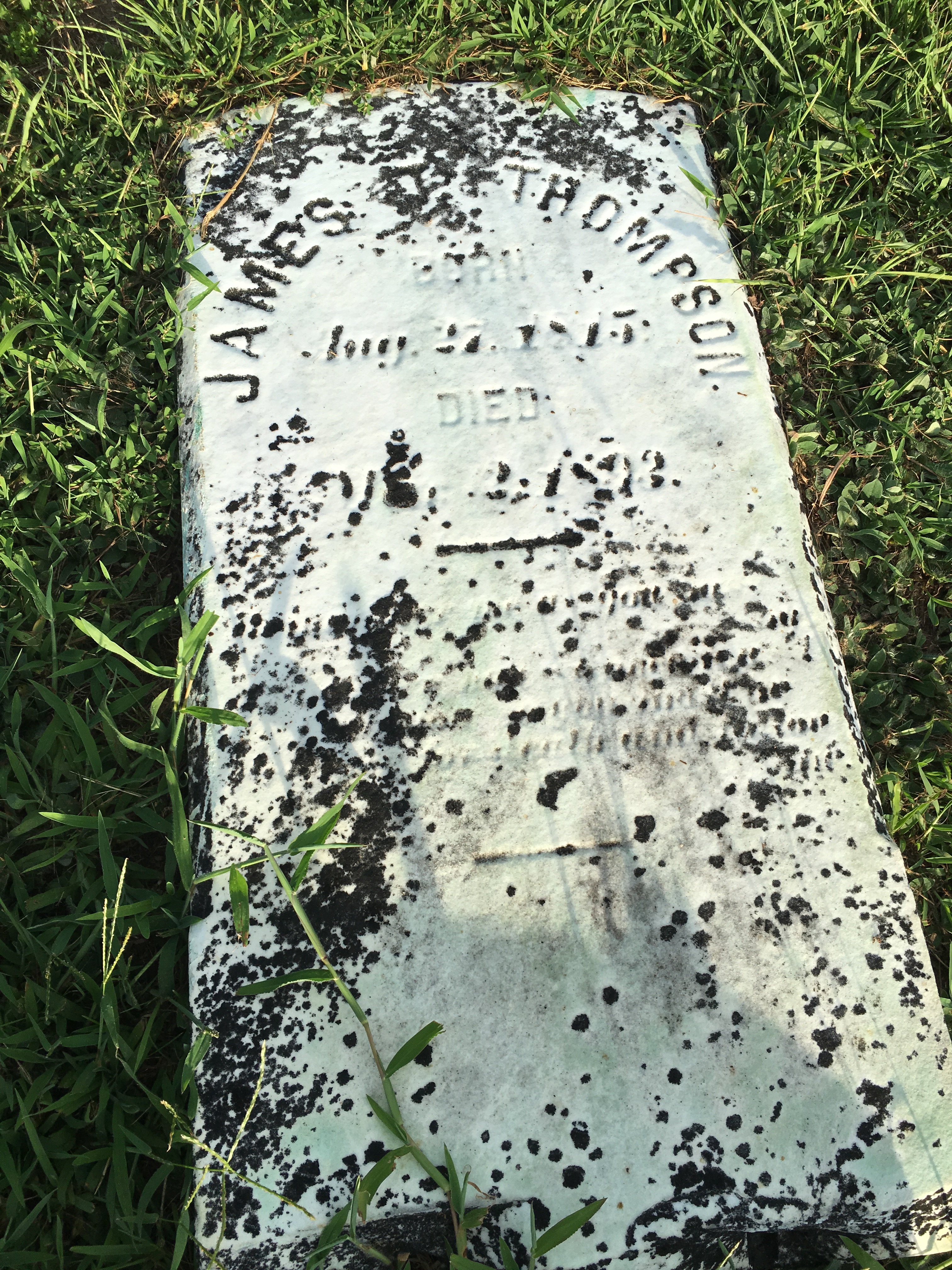 Photographed 16 Aug 2016.