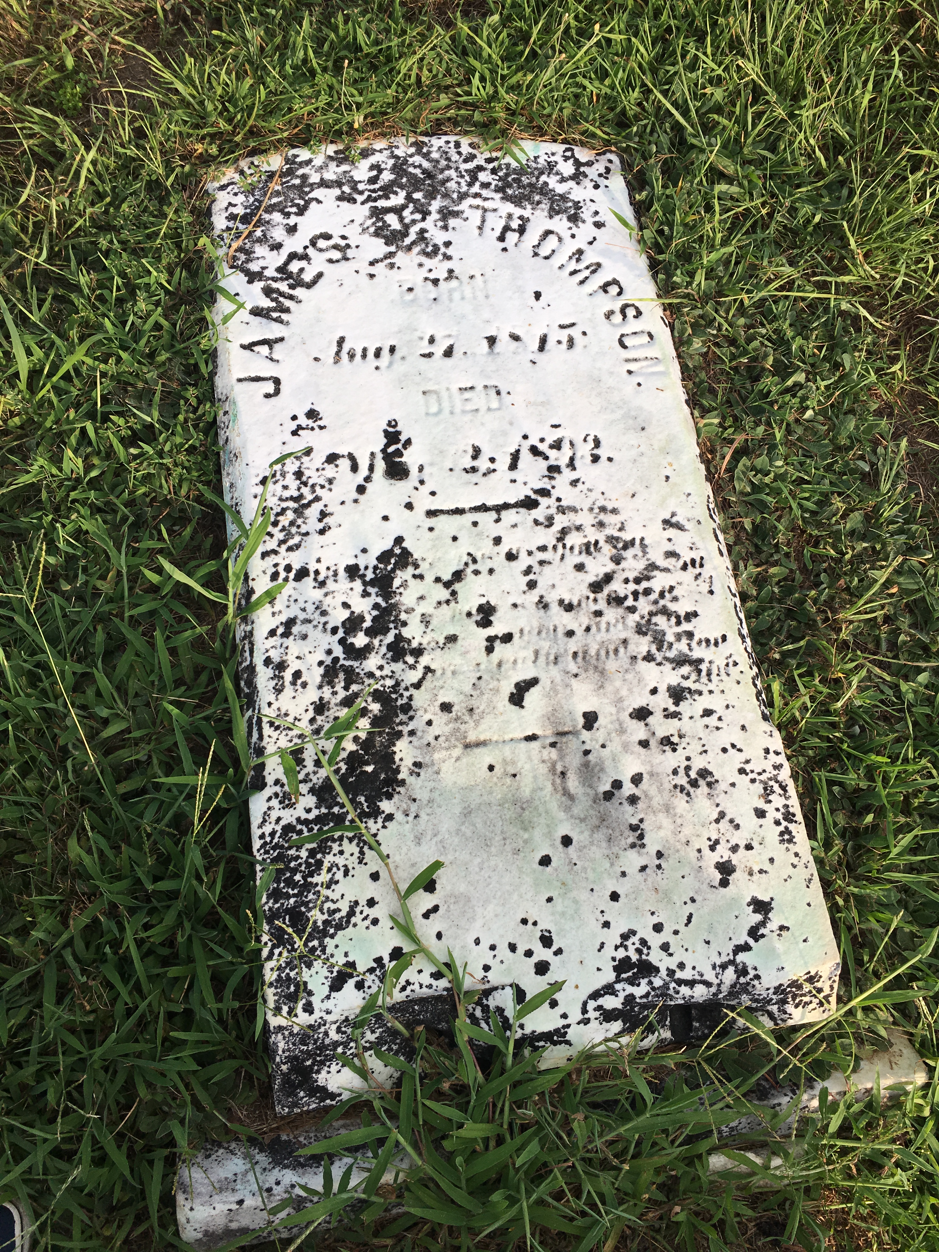 Photographed 16 Aug 2016.