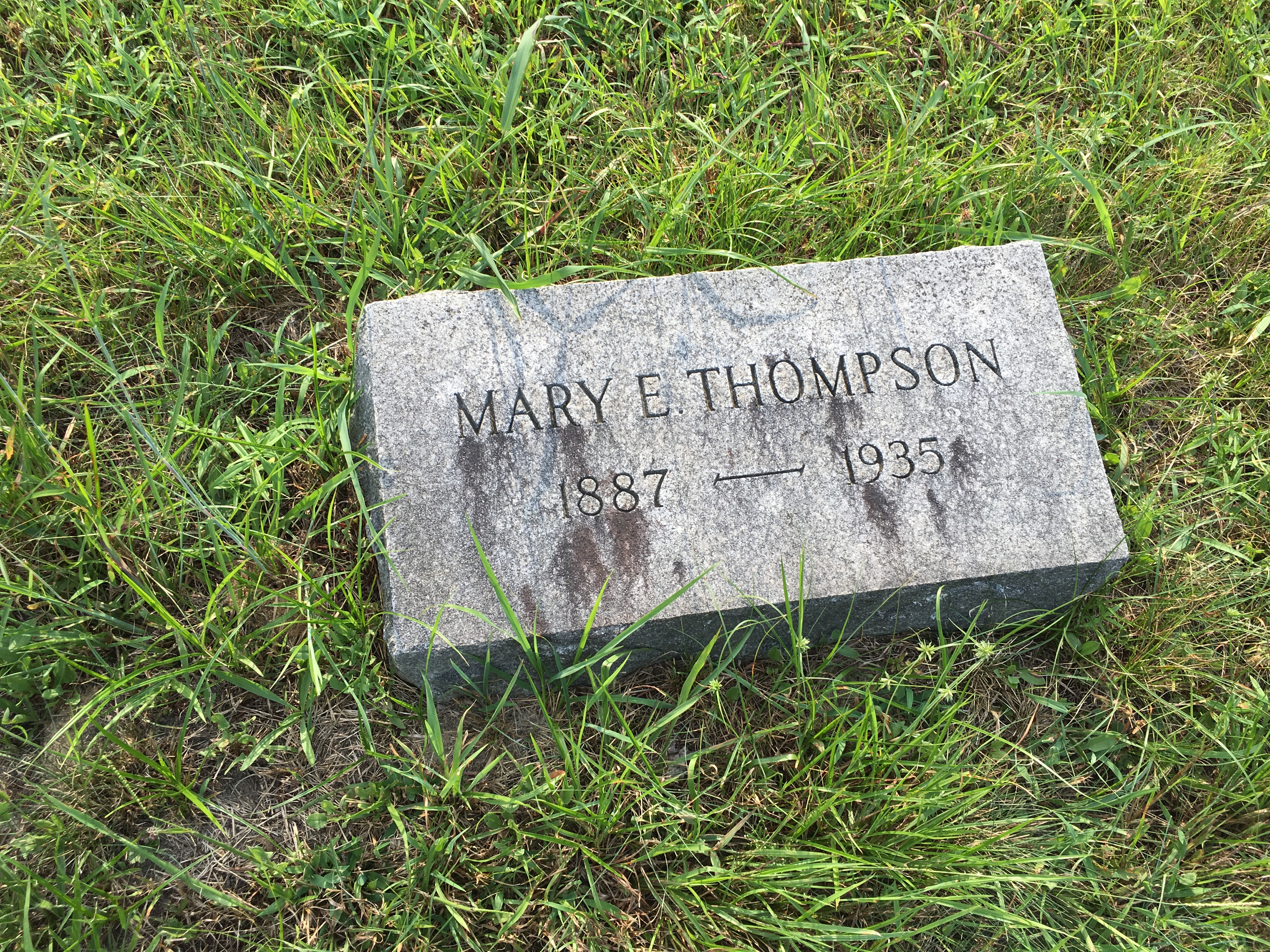 Photographed 16 Aug 2016.