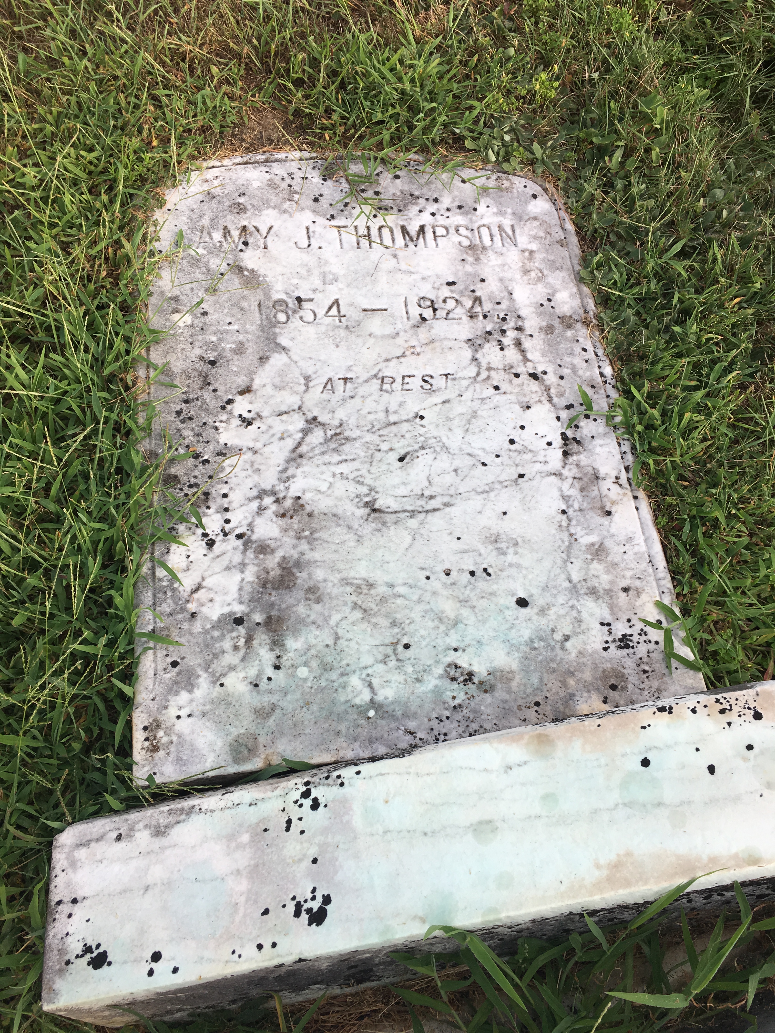 Photographed 16 Aug 2016.