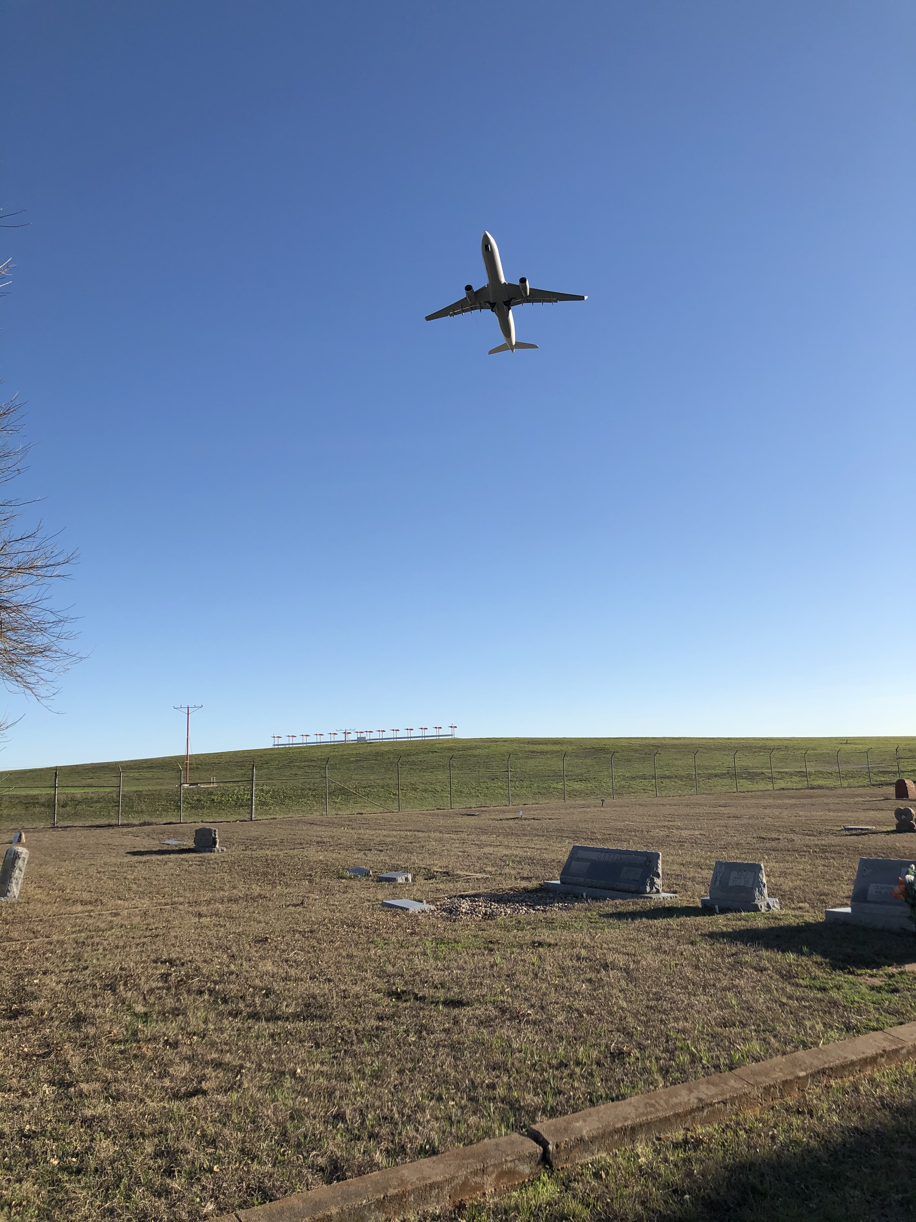 Photographed 24 Jan 2020.