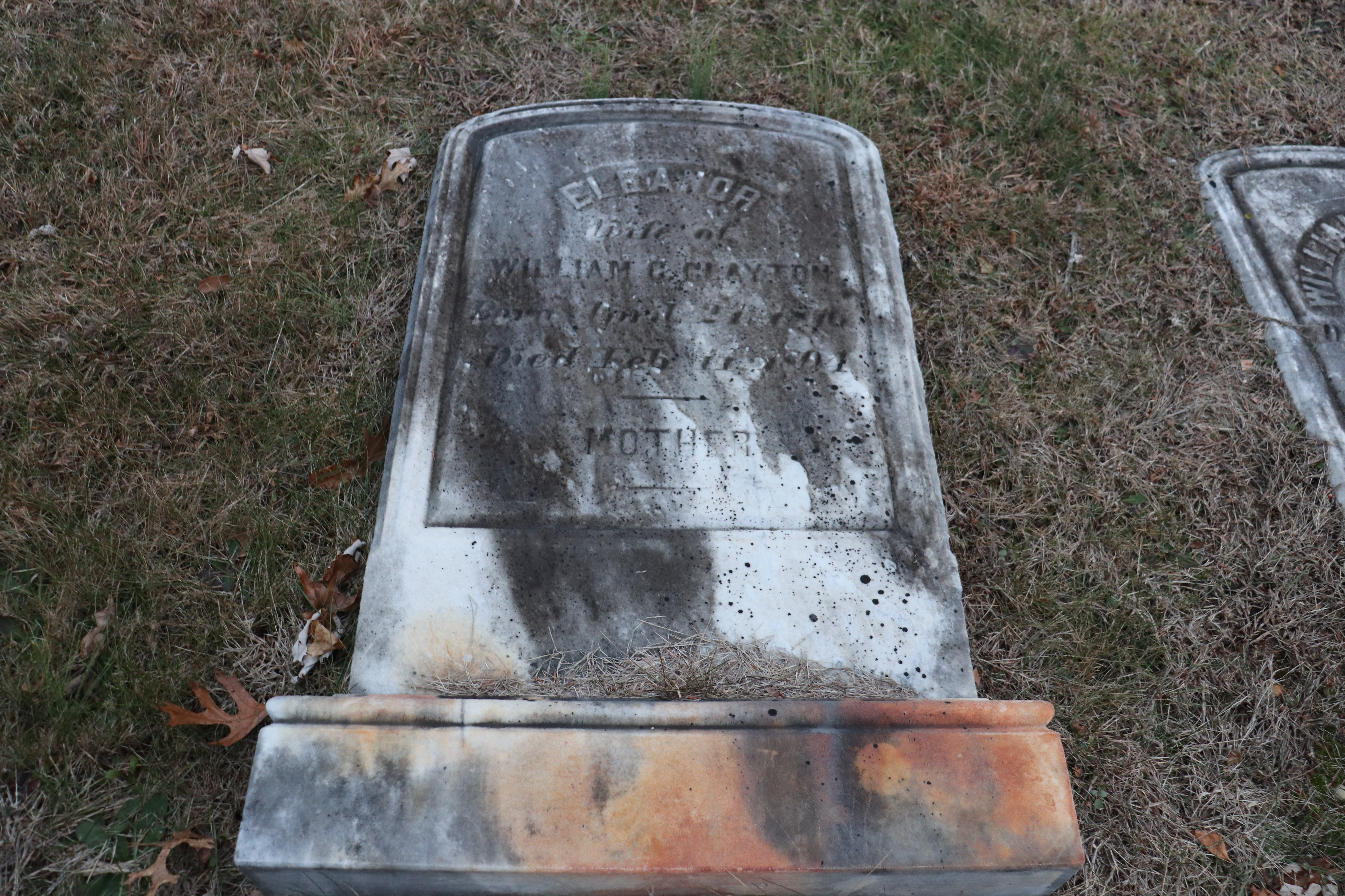 Photographed 26 Dec 2019.