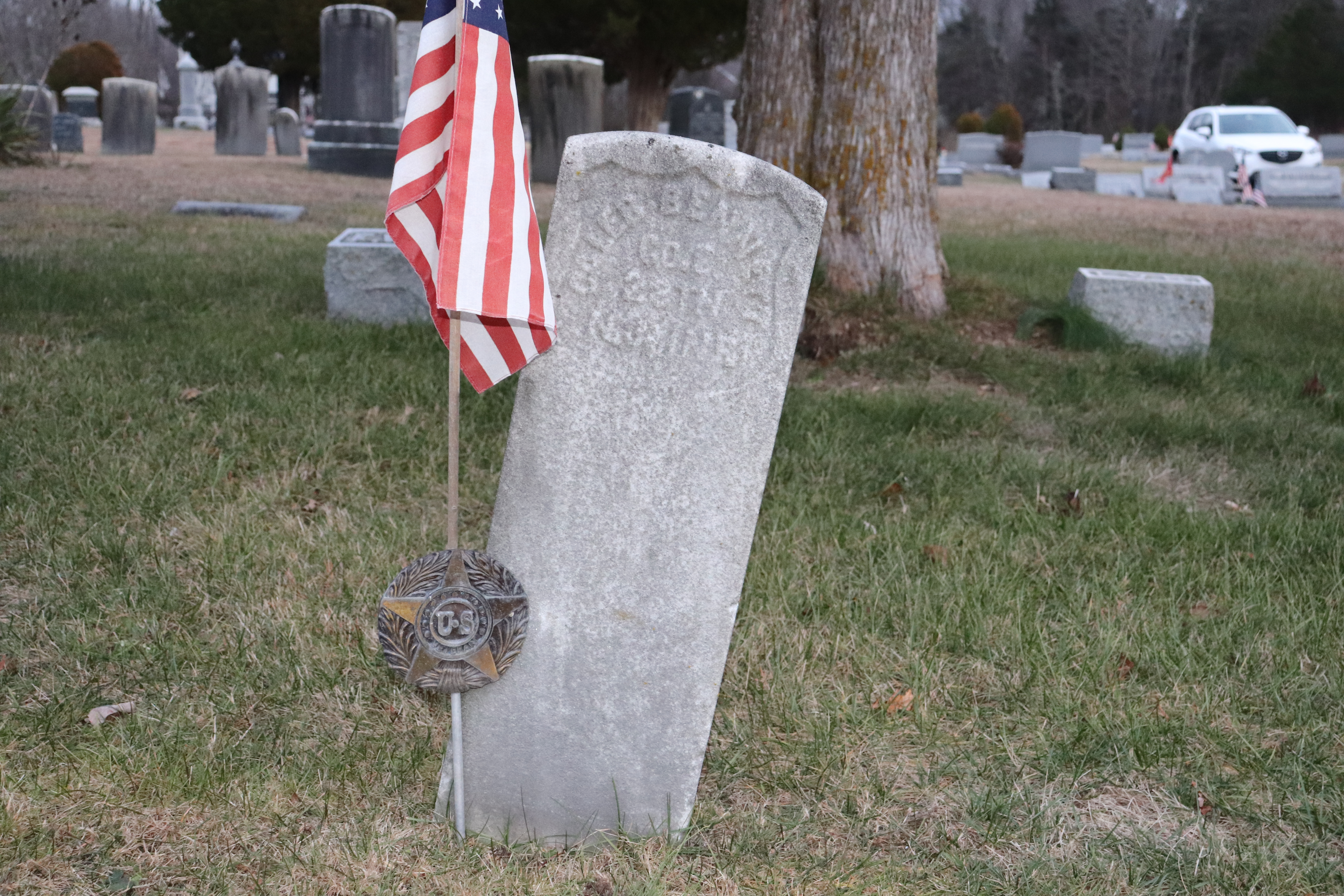 Photographed 26 Dec 2019.