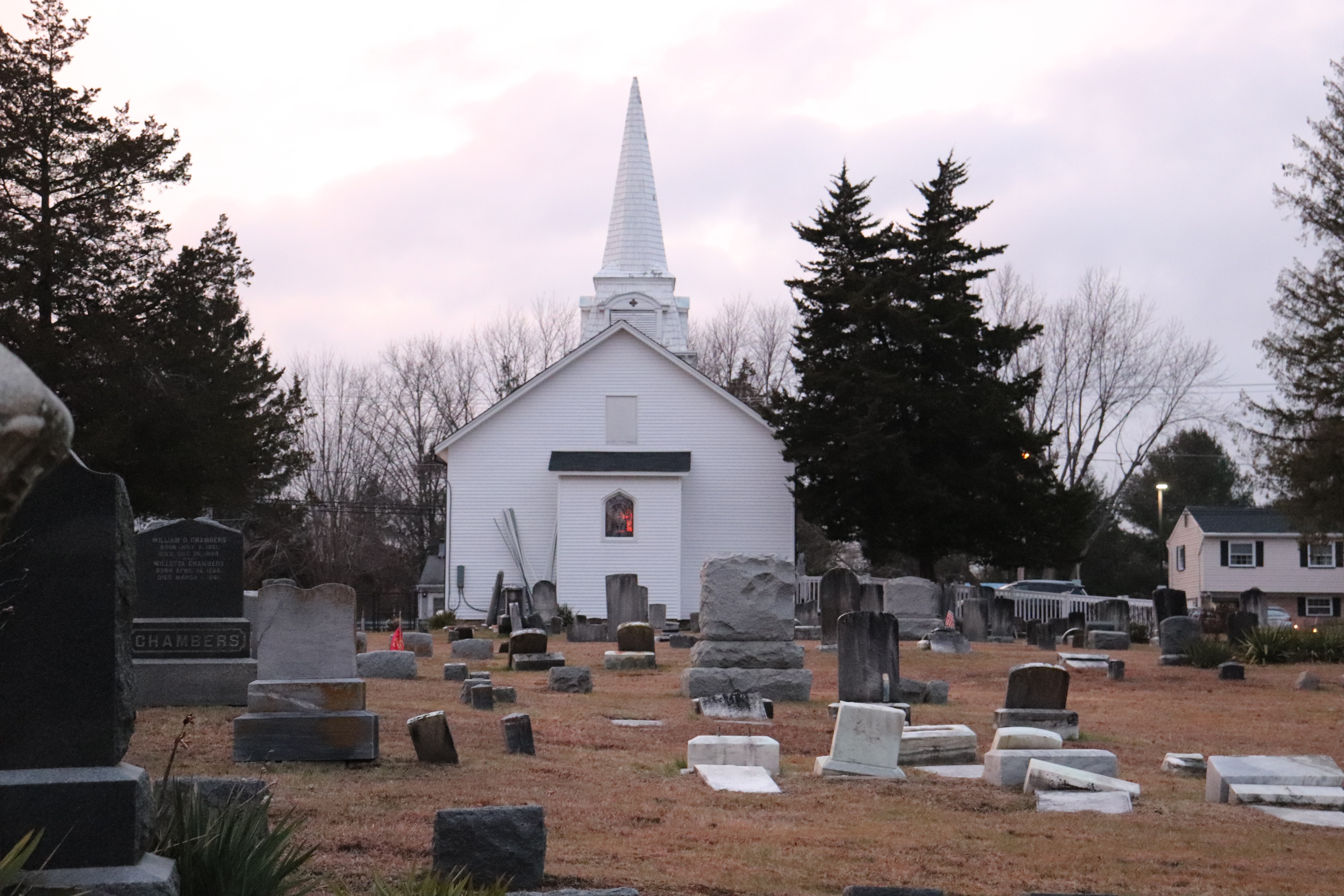 Photographed 26 Dec 2019.