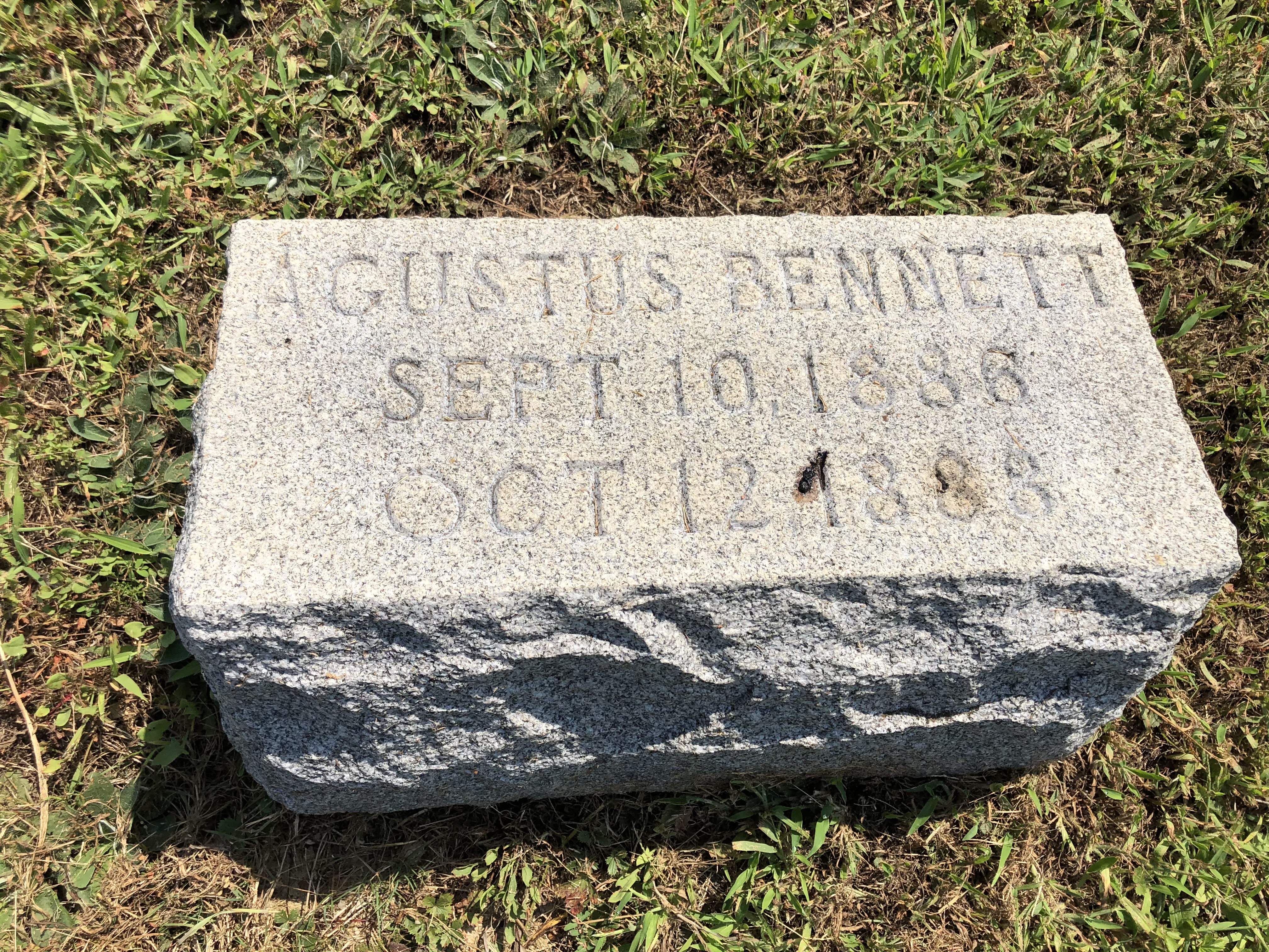 Photographed 28 Aug 2018.