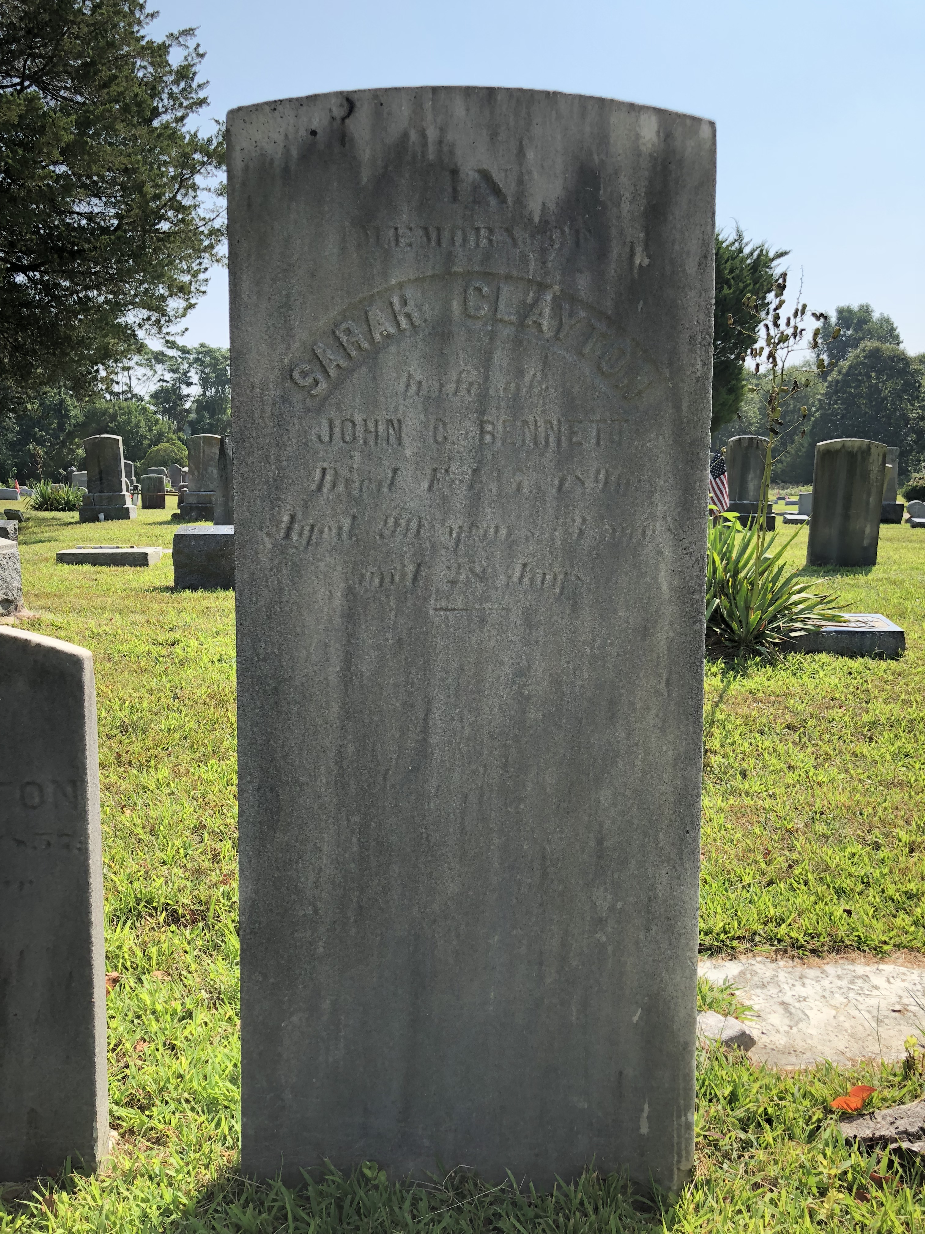 Photographed 28 Aug 2018.