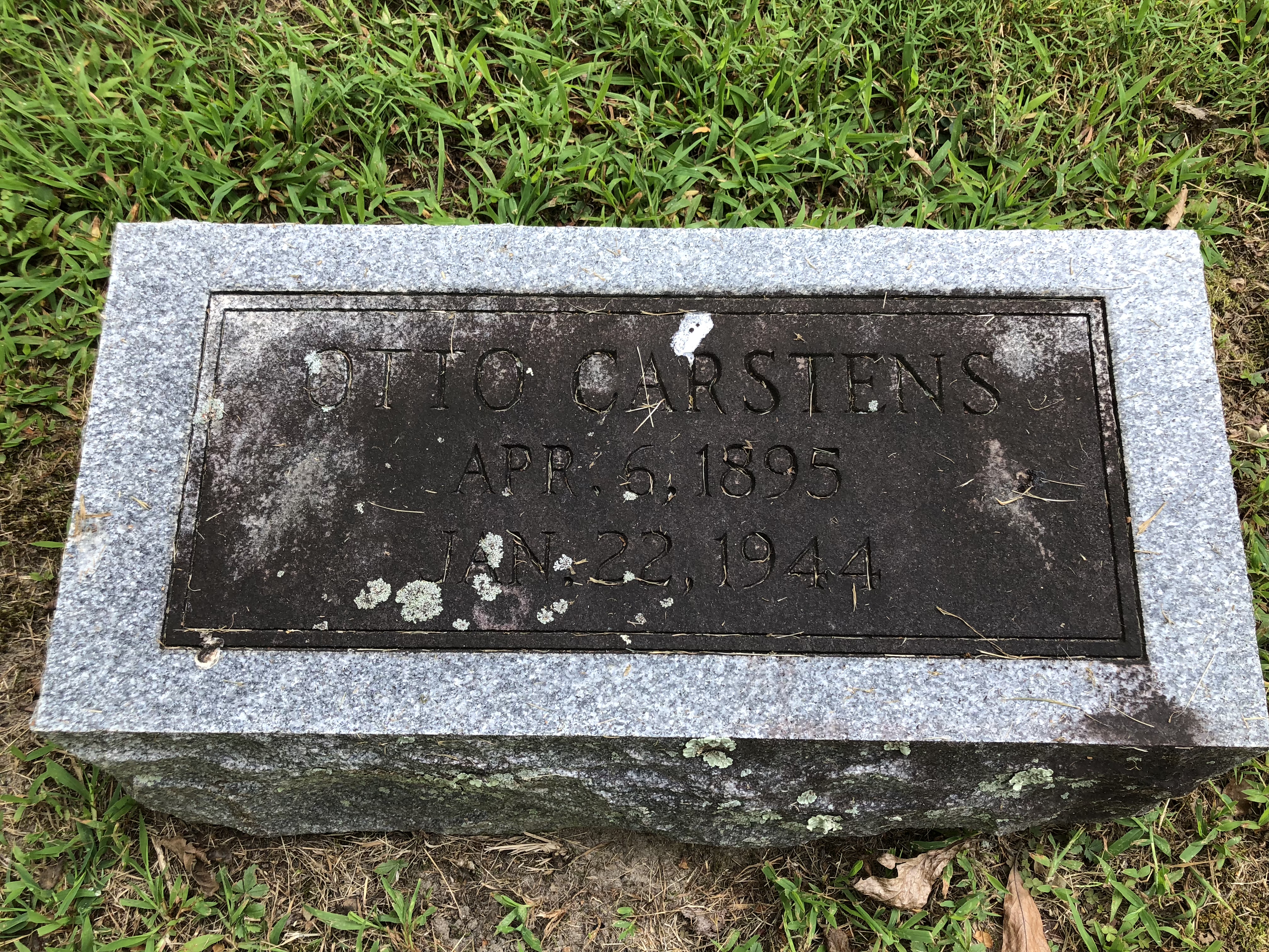 Photographed 28 Aug 2018.