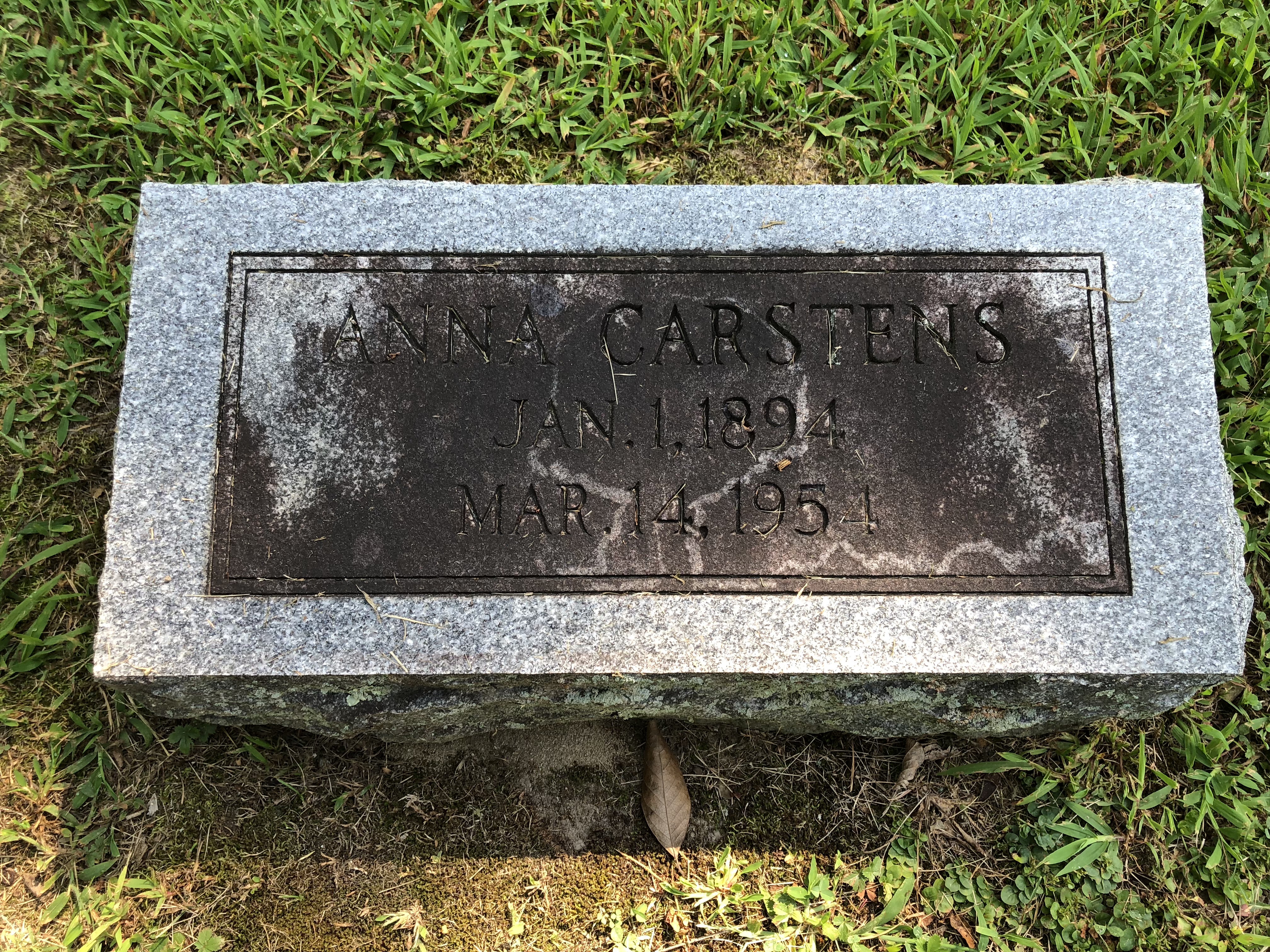 Photographed 28 Aug 2018.