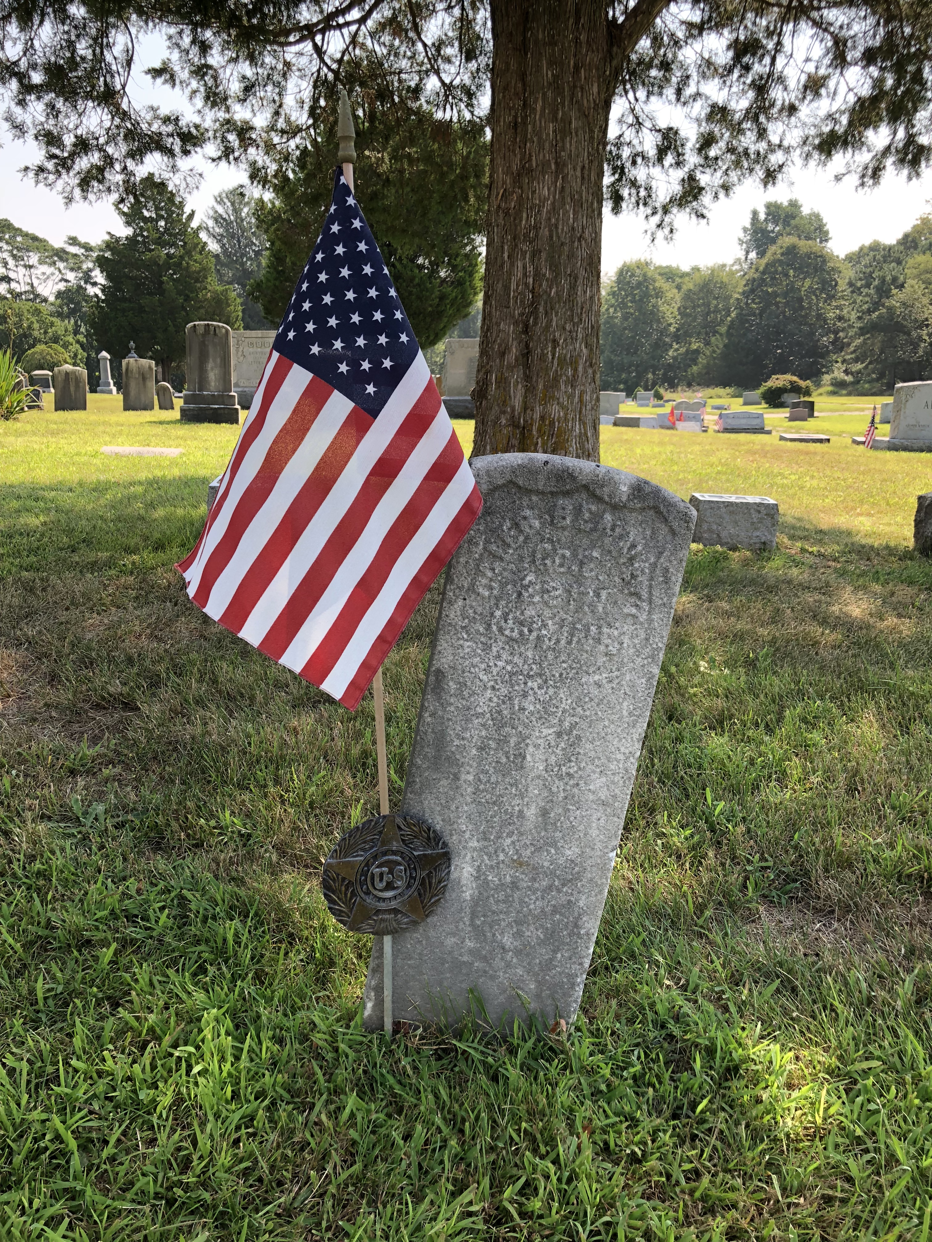 Photographed 28 Aug 2018.