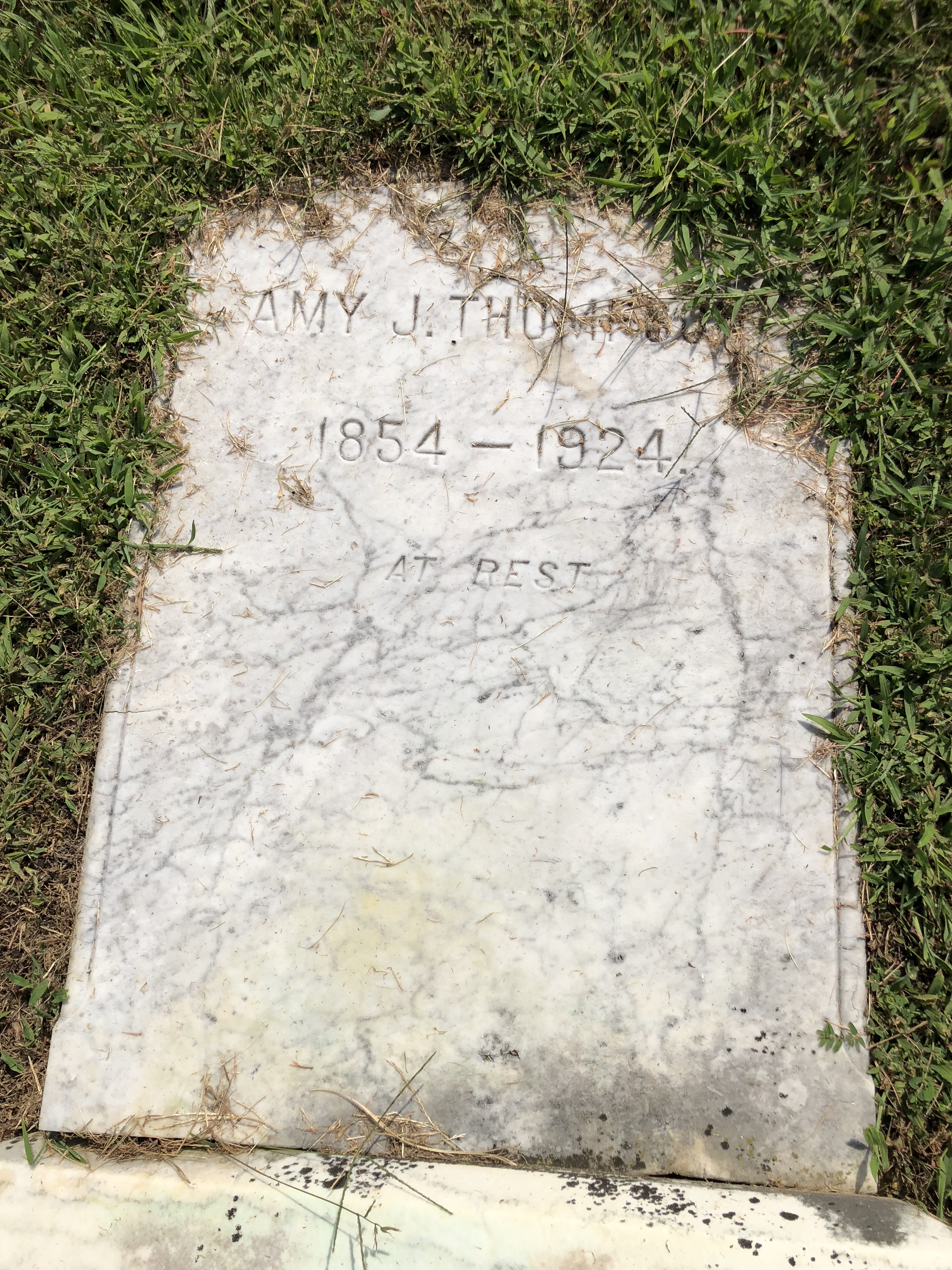 Photographed 28 Aug 2018.