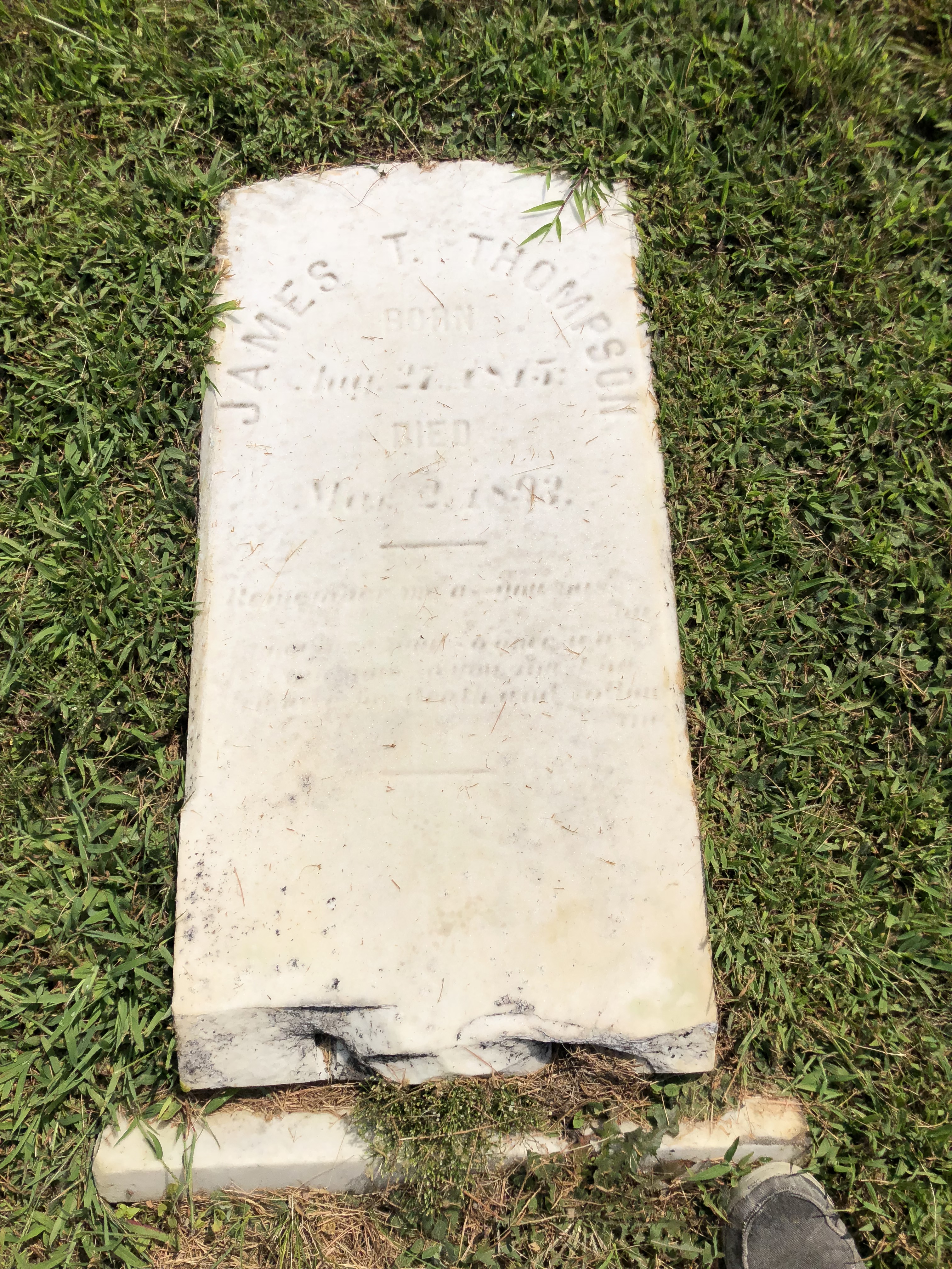 Photographed 28 Aug 2018.