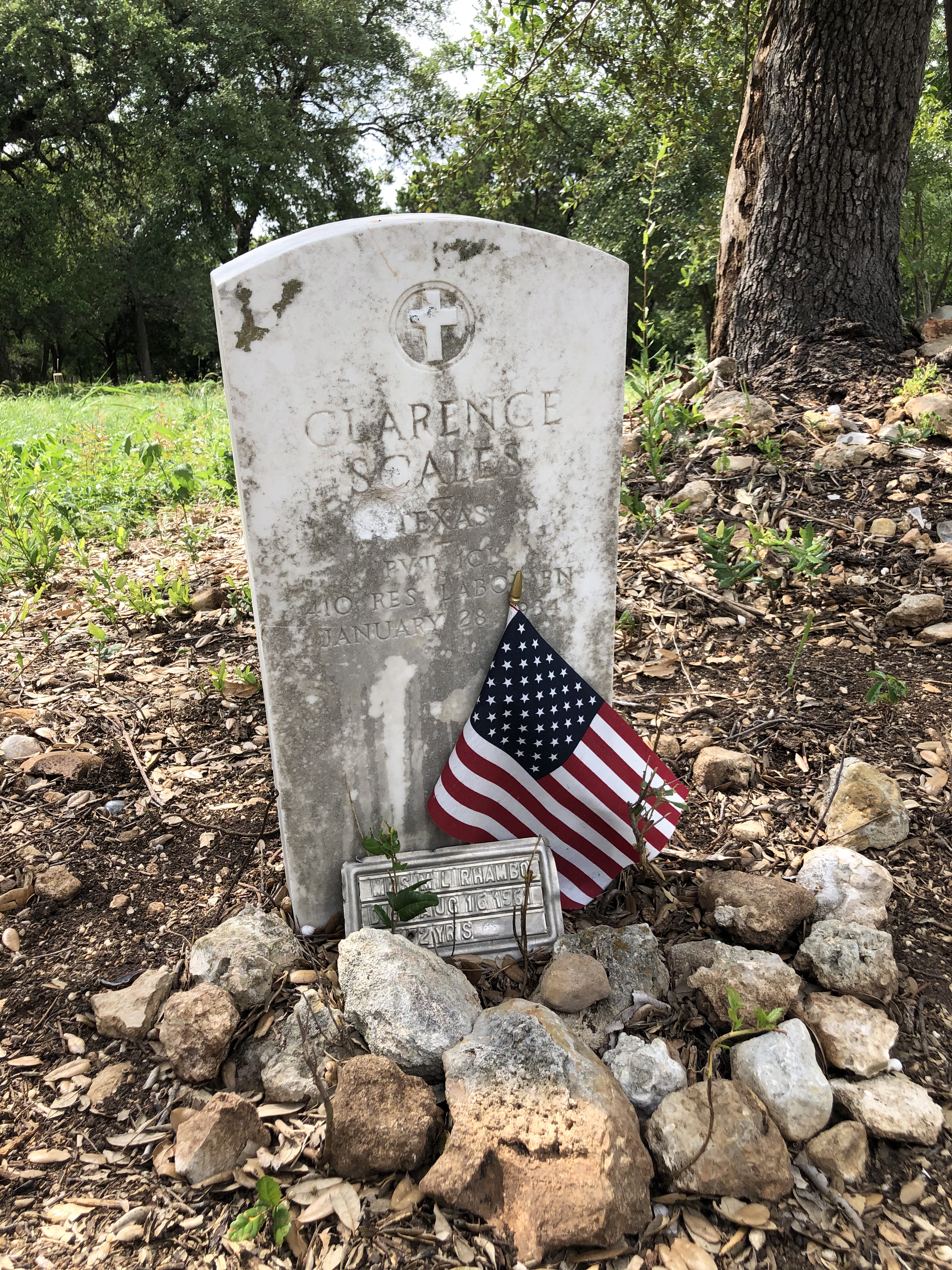 Photographed 07 July 2020.