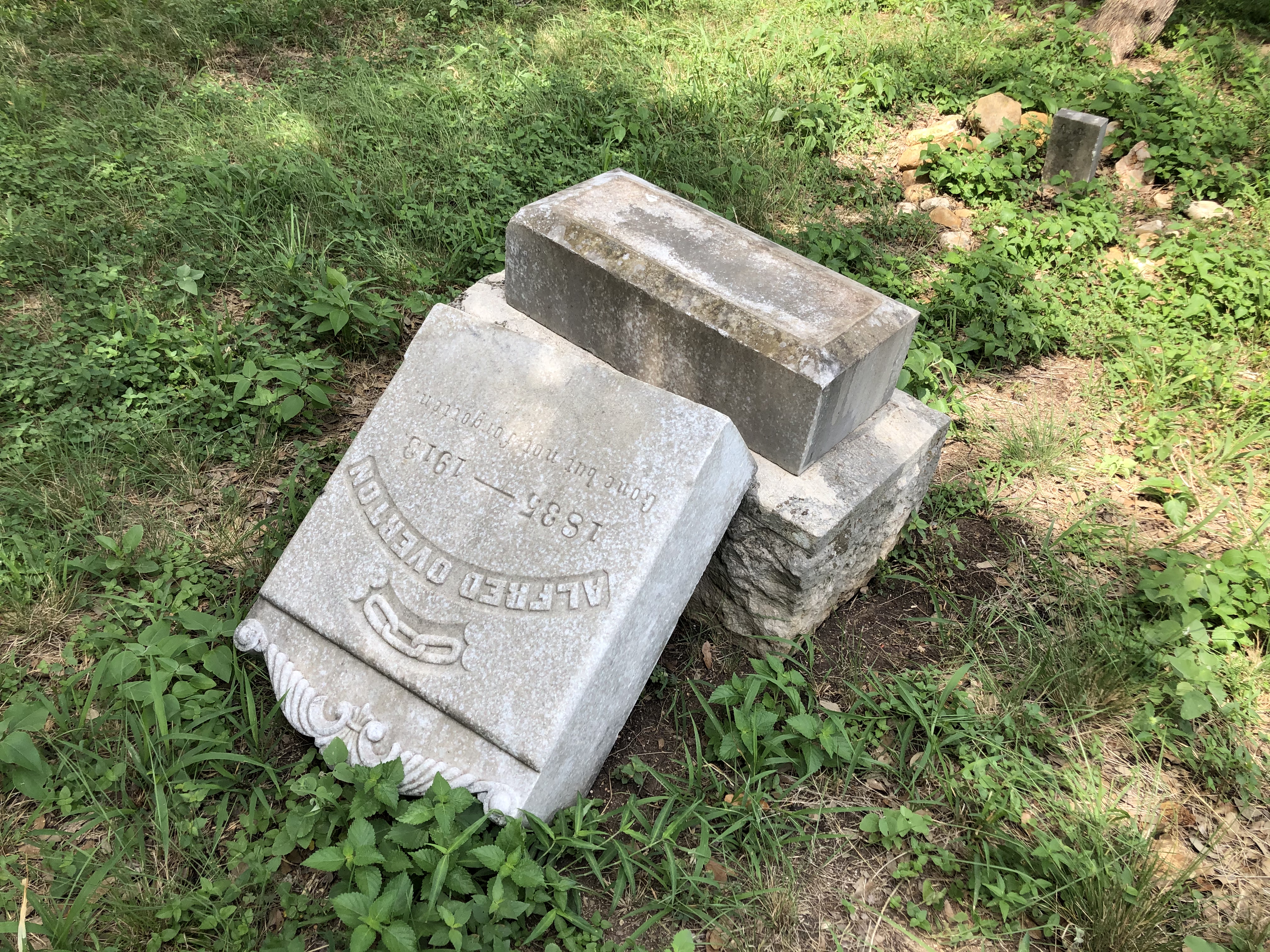 Photographed 07 July 2020.