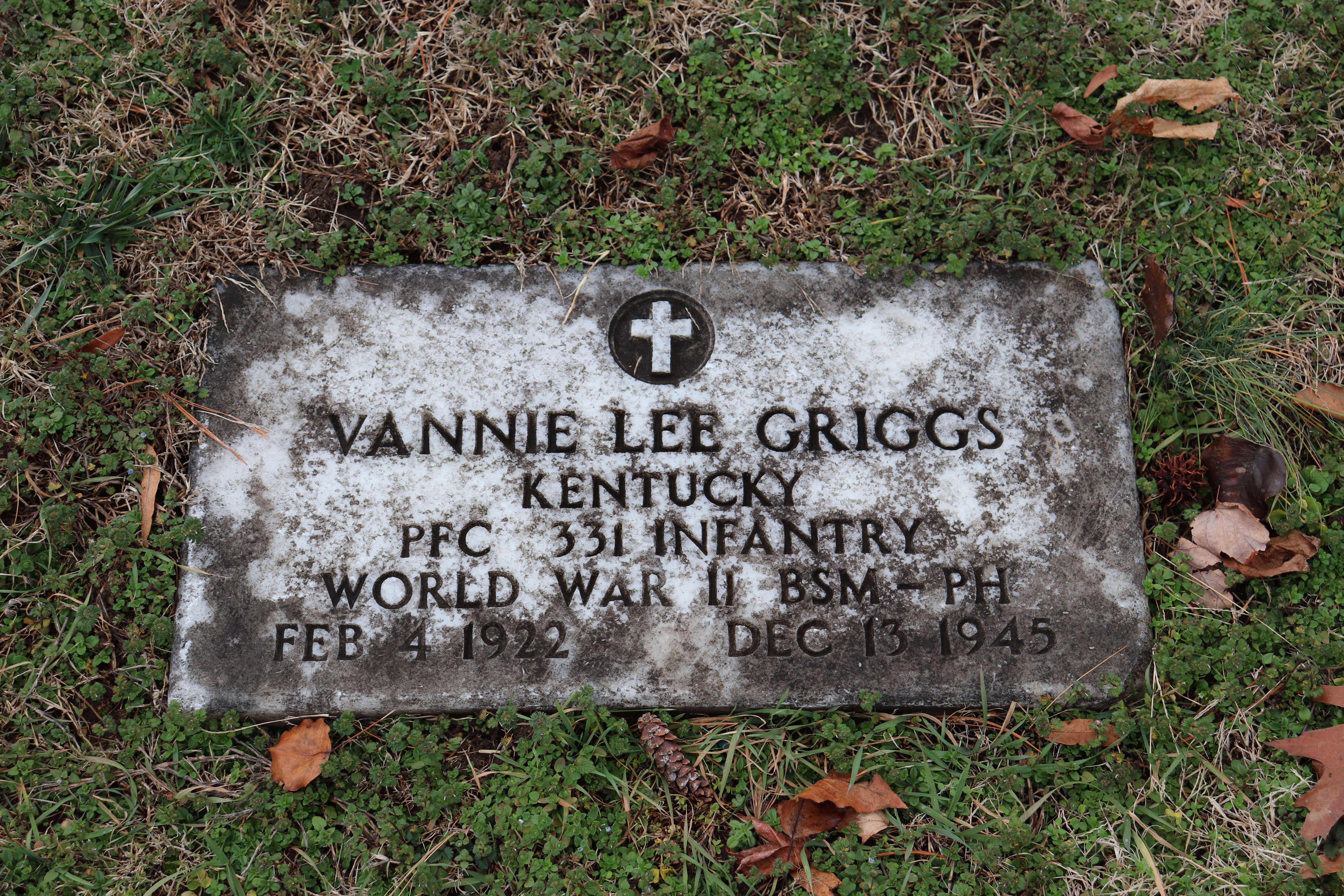 Photographed 15 Jan 2020.