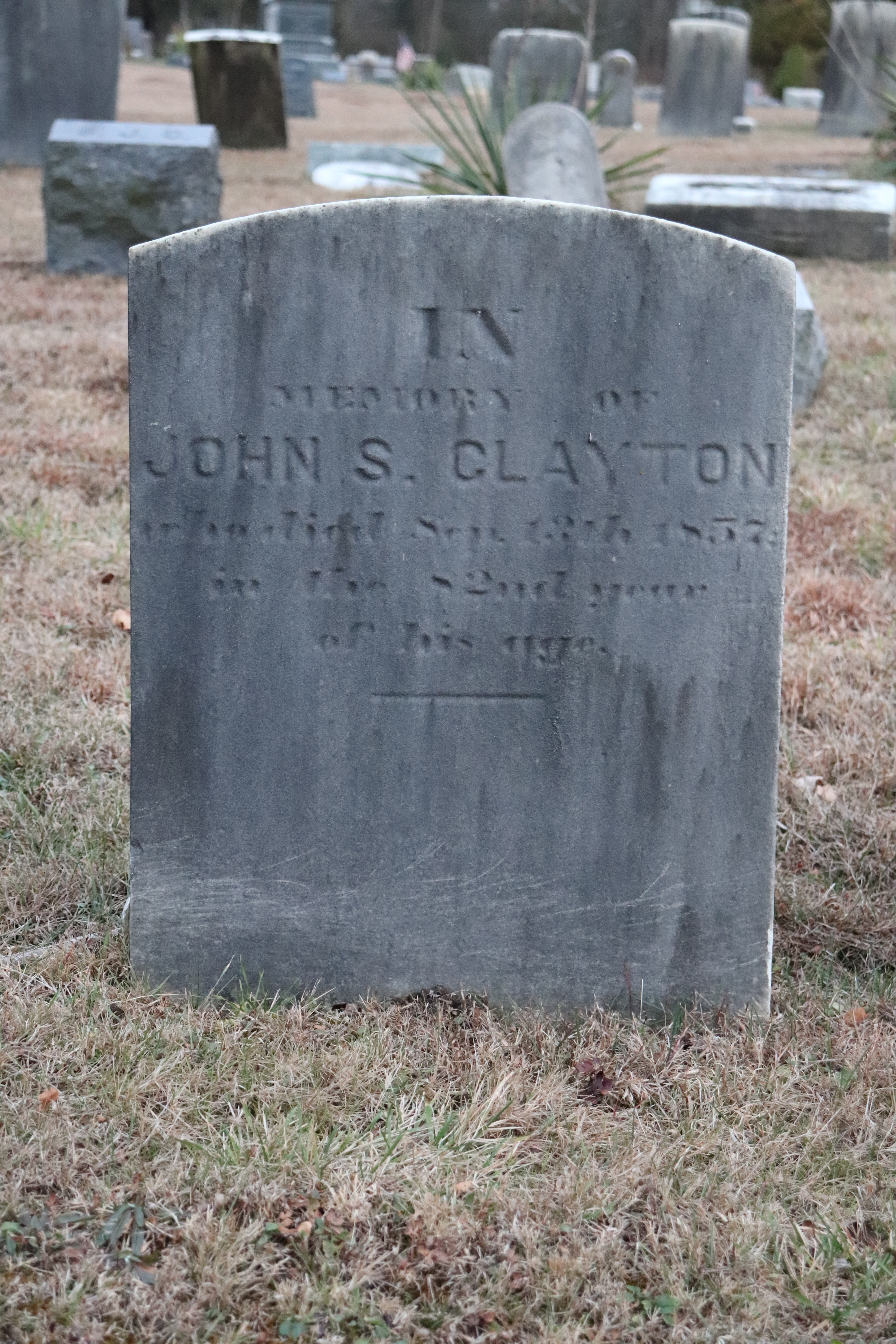 Photographed 26 Dec 2019.