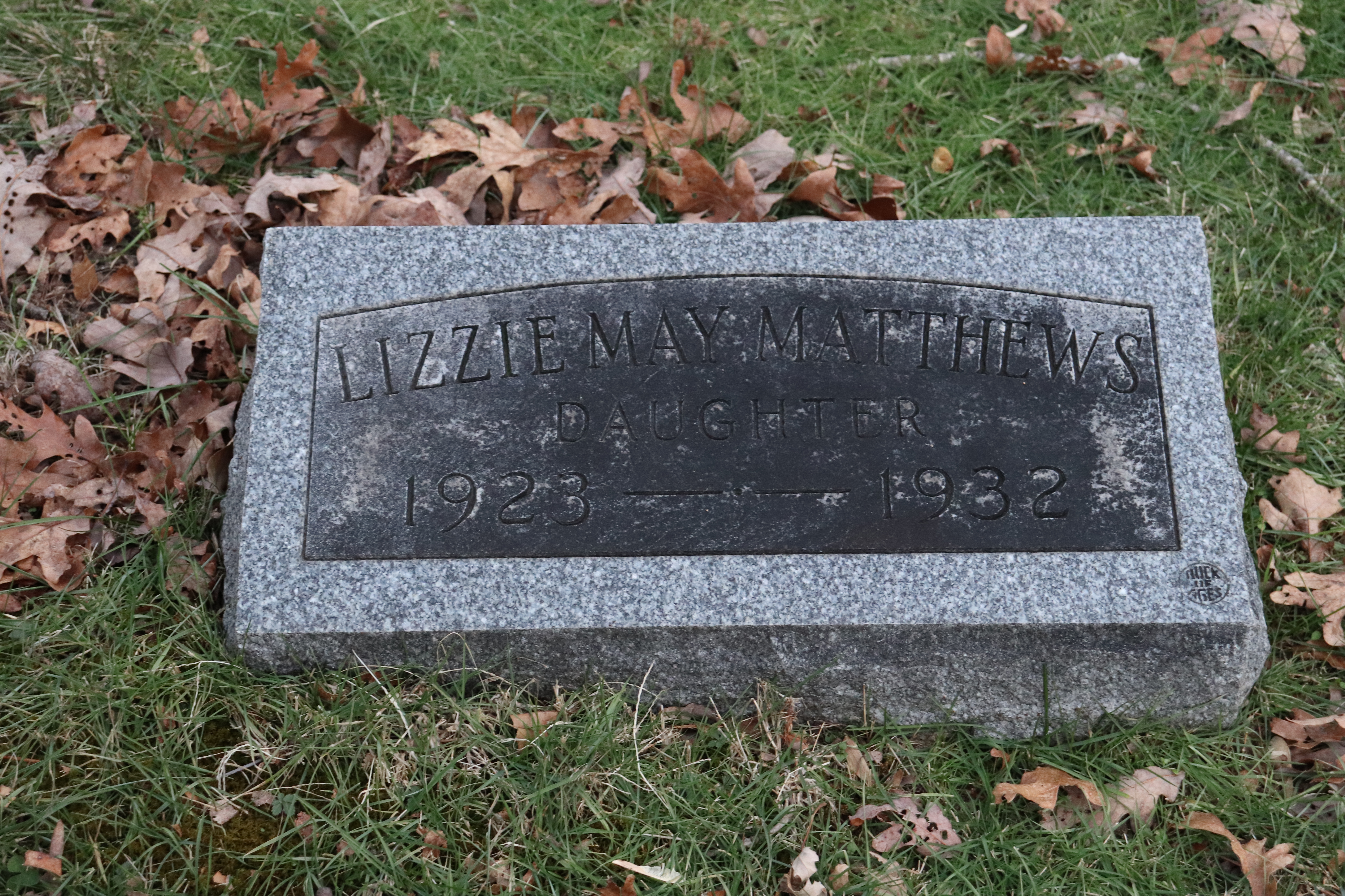 Photographed 26 Dec 2019.