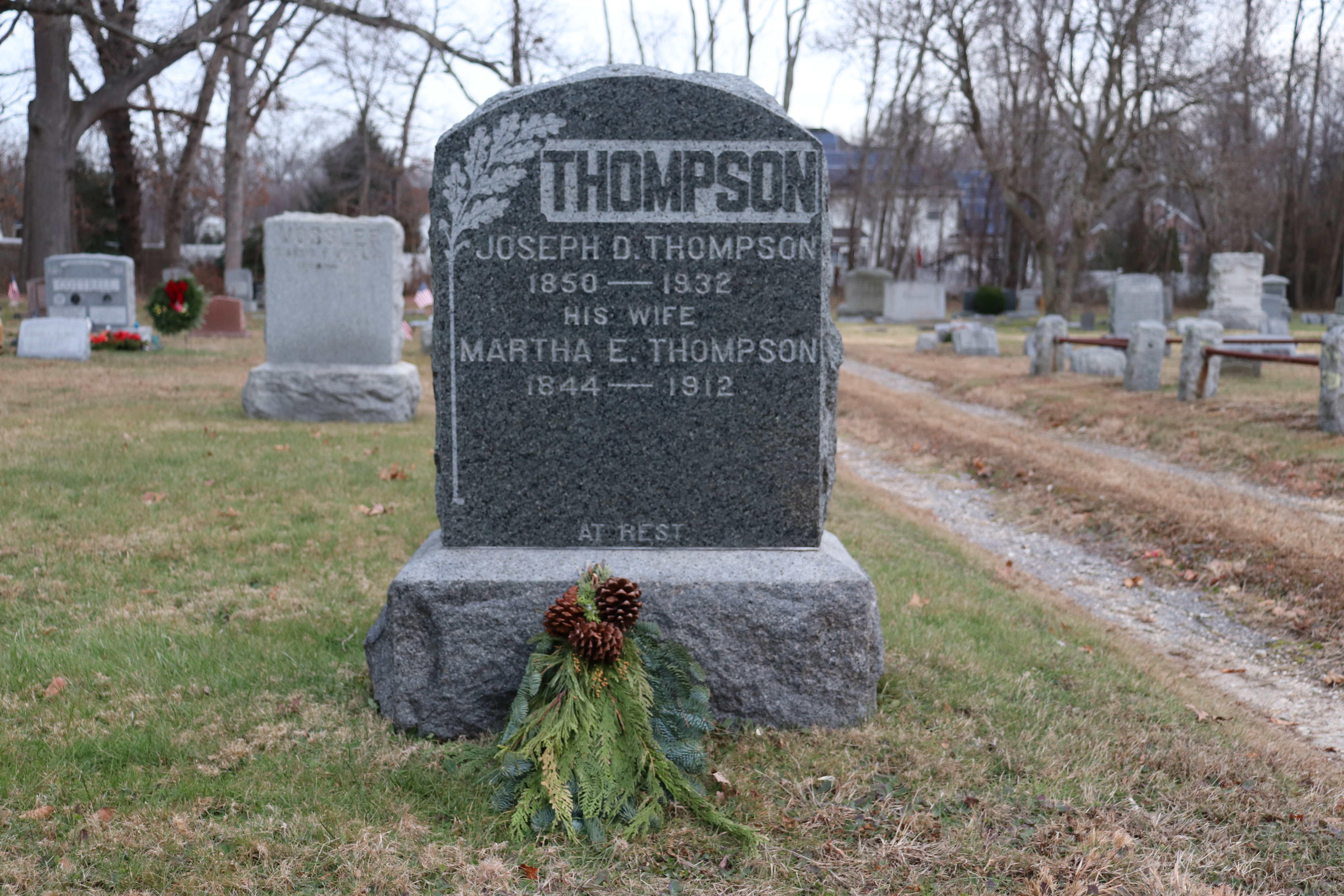 Photographed 26 Dec 2019.