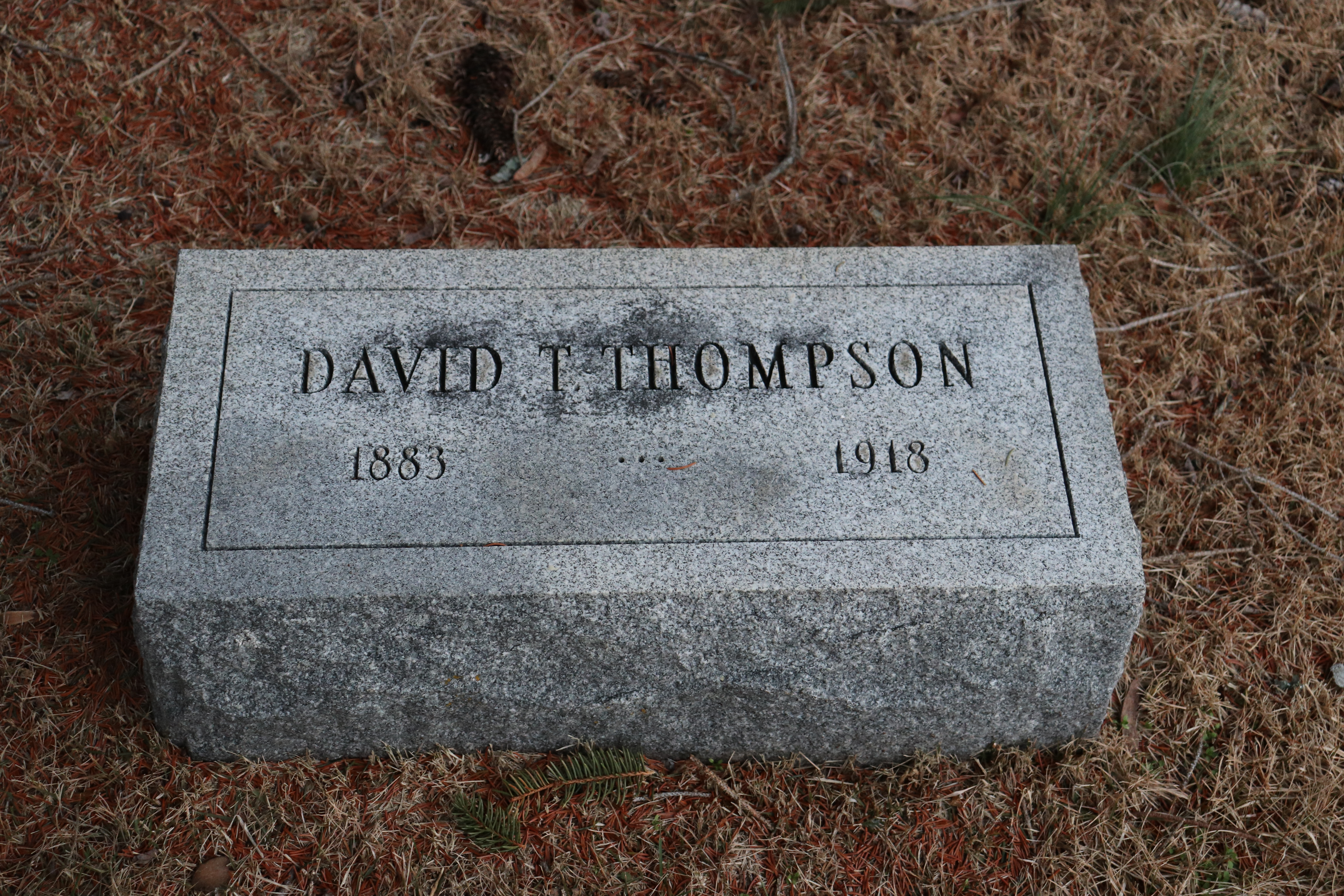 Photographed 26 Dec 2019.