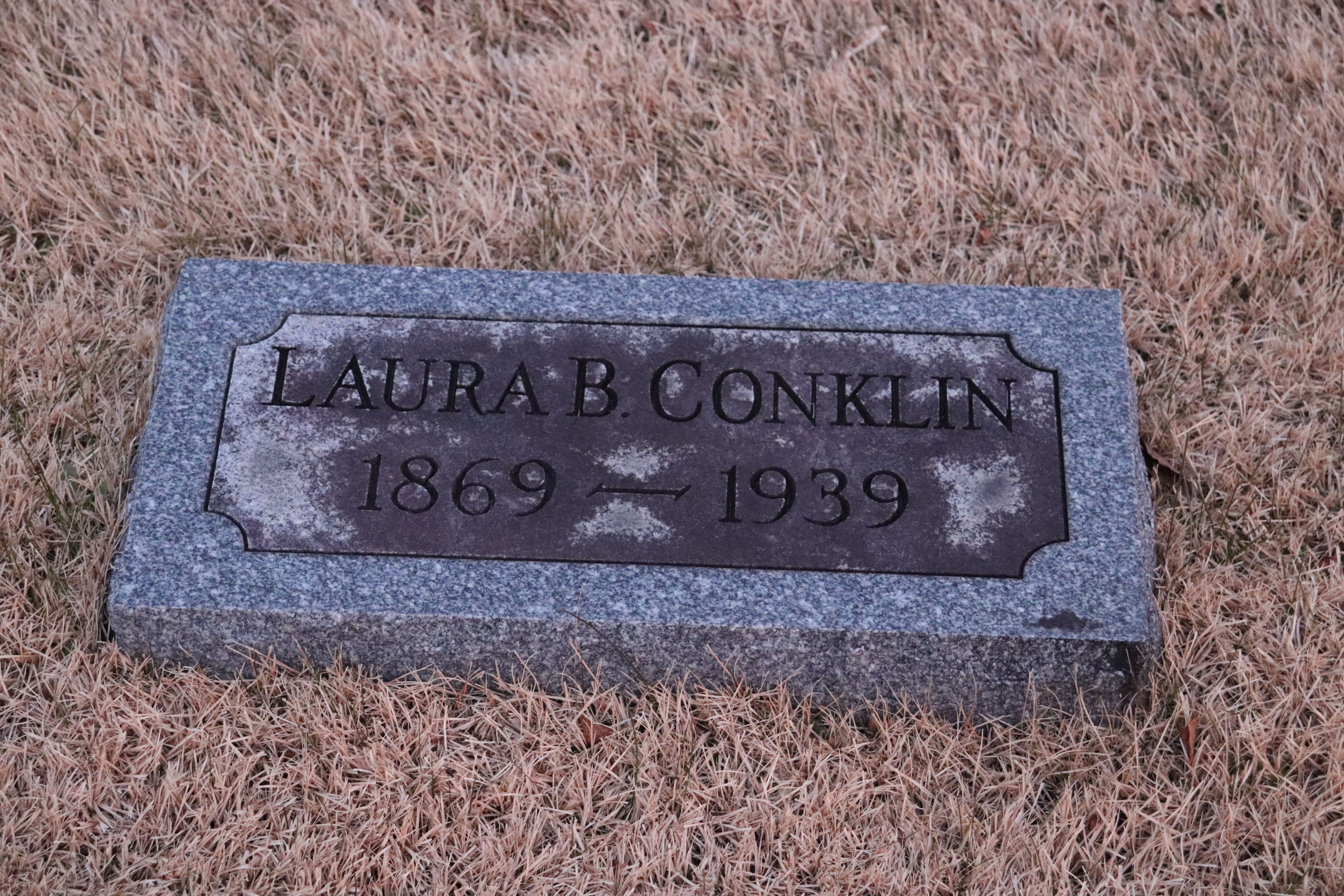 Photographed 26 Dec 2019.