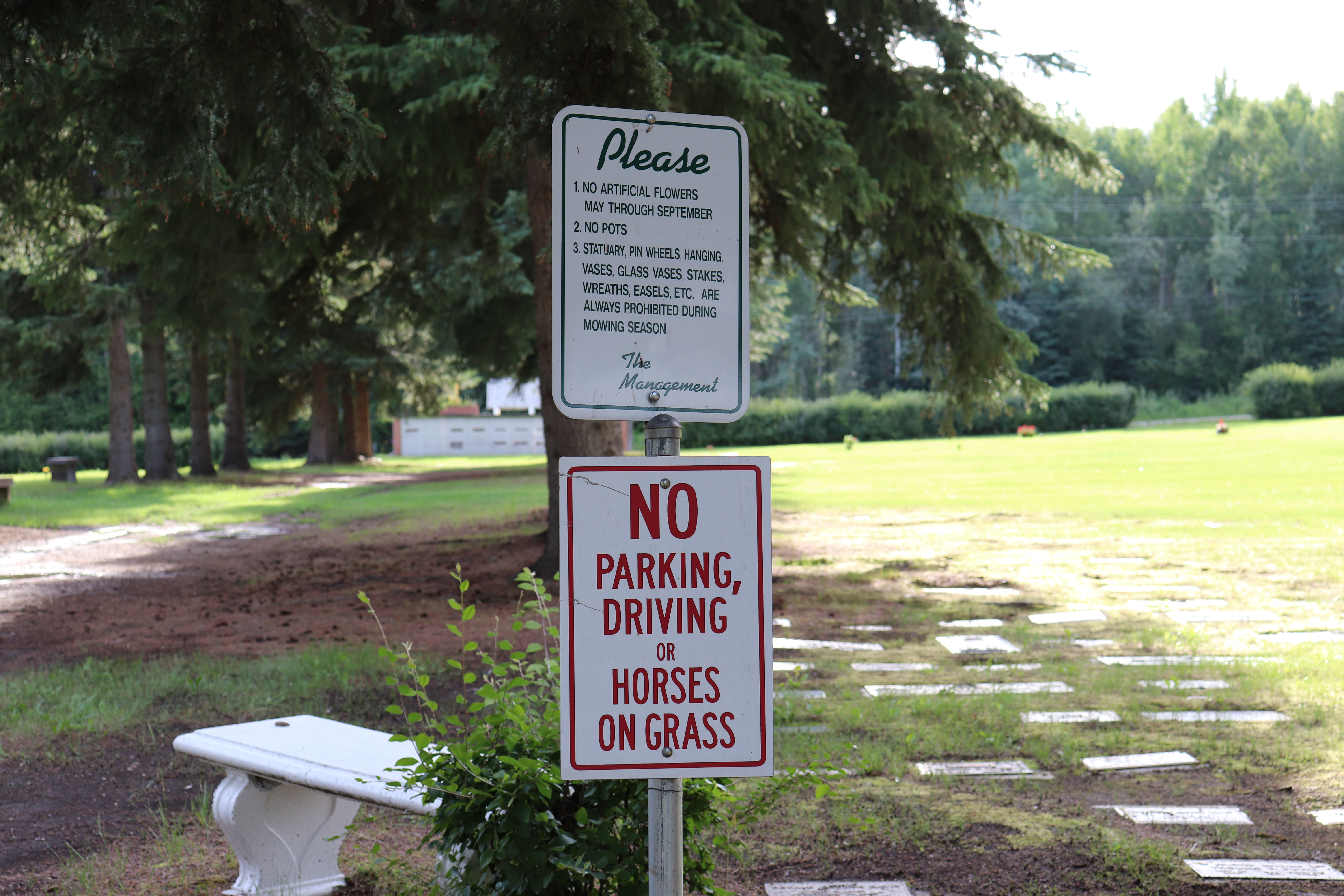 Photographed 22 Jul 2020.