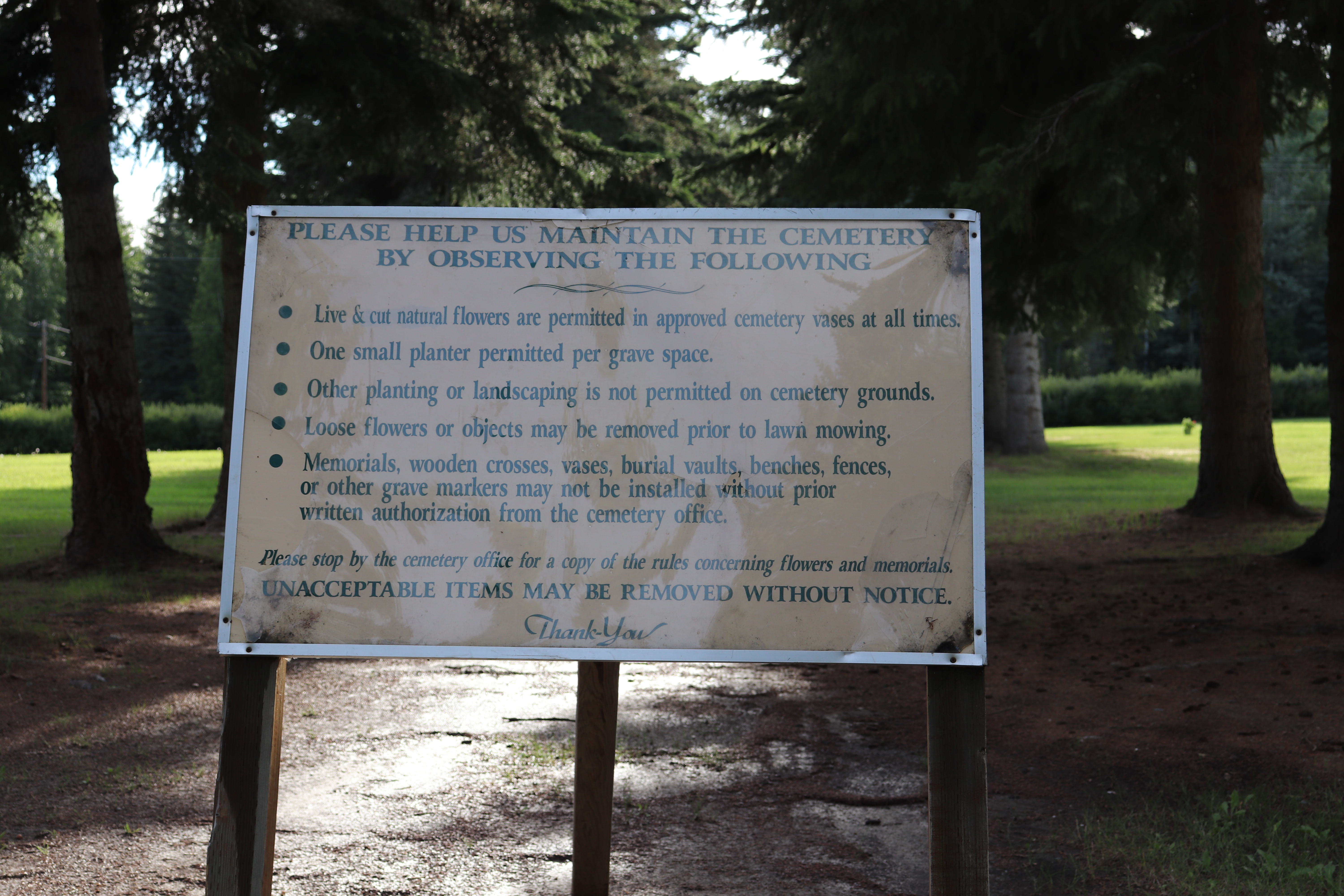 Photographed 22 Jul 2020.