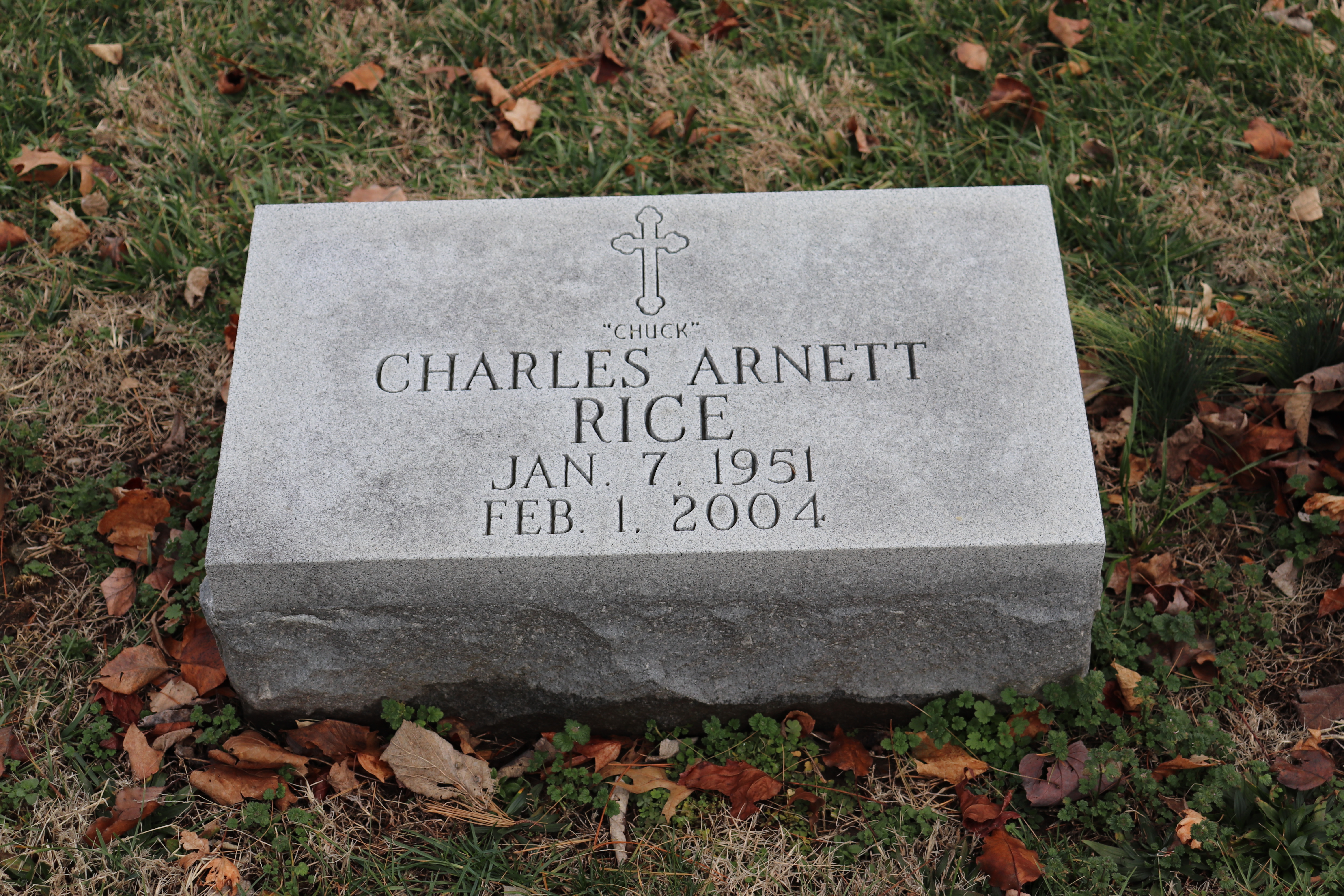 Photographed 15 January 2020.