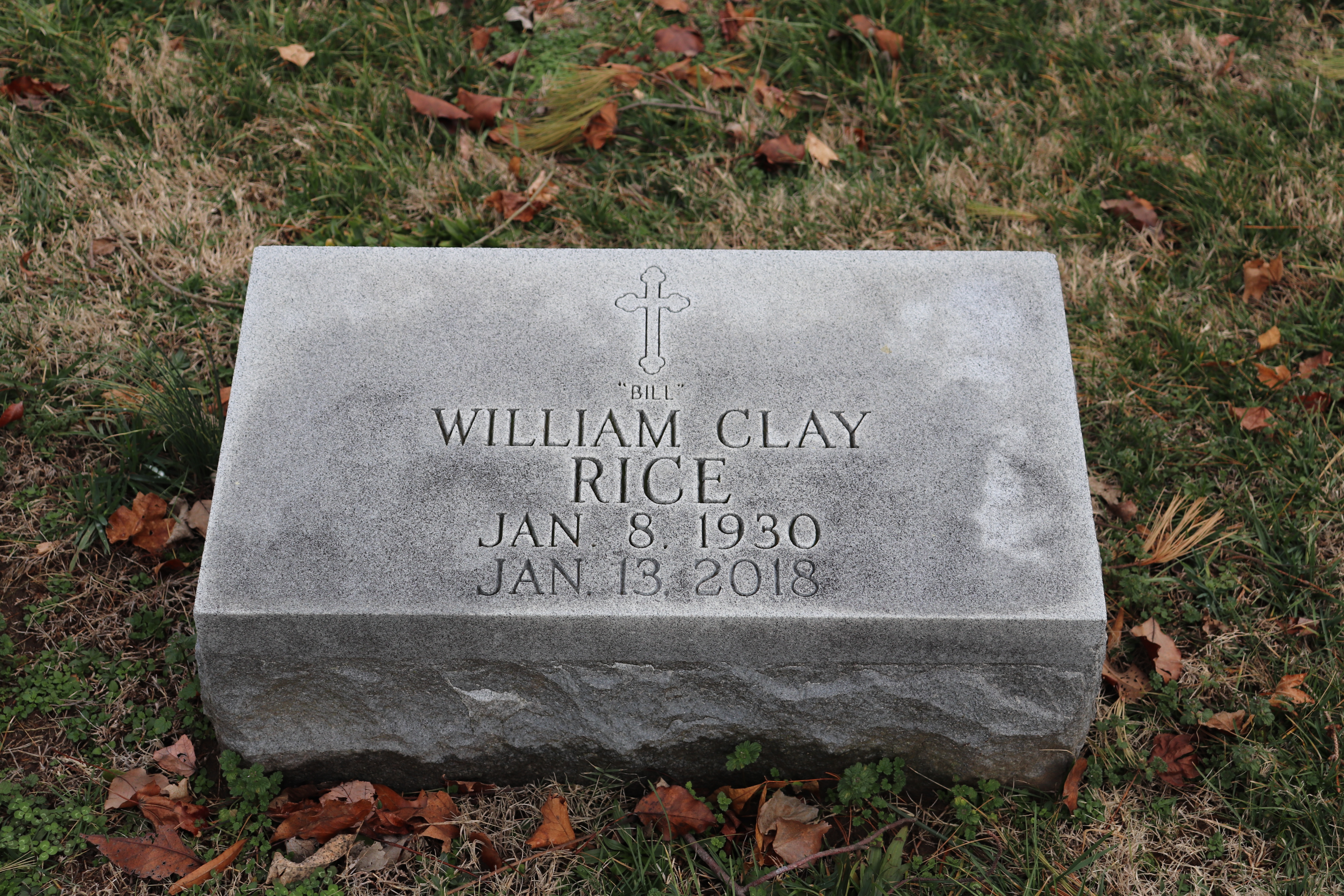 Photographed 15 January 2020.